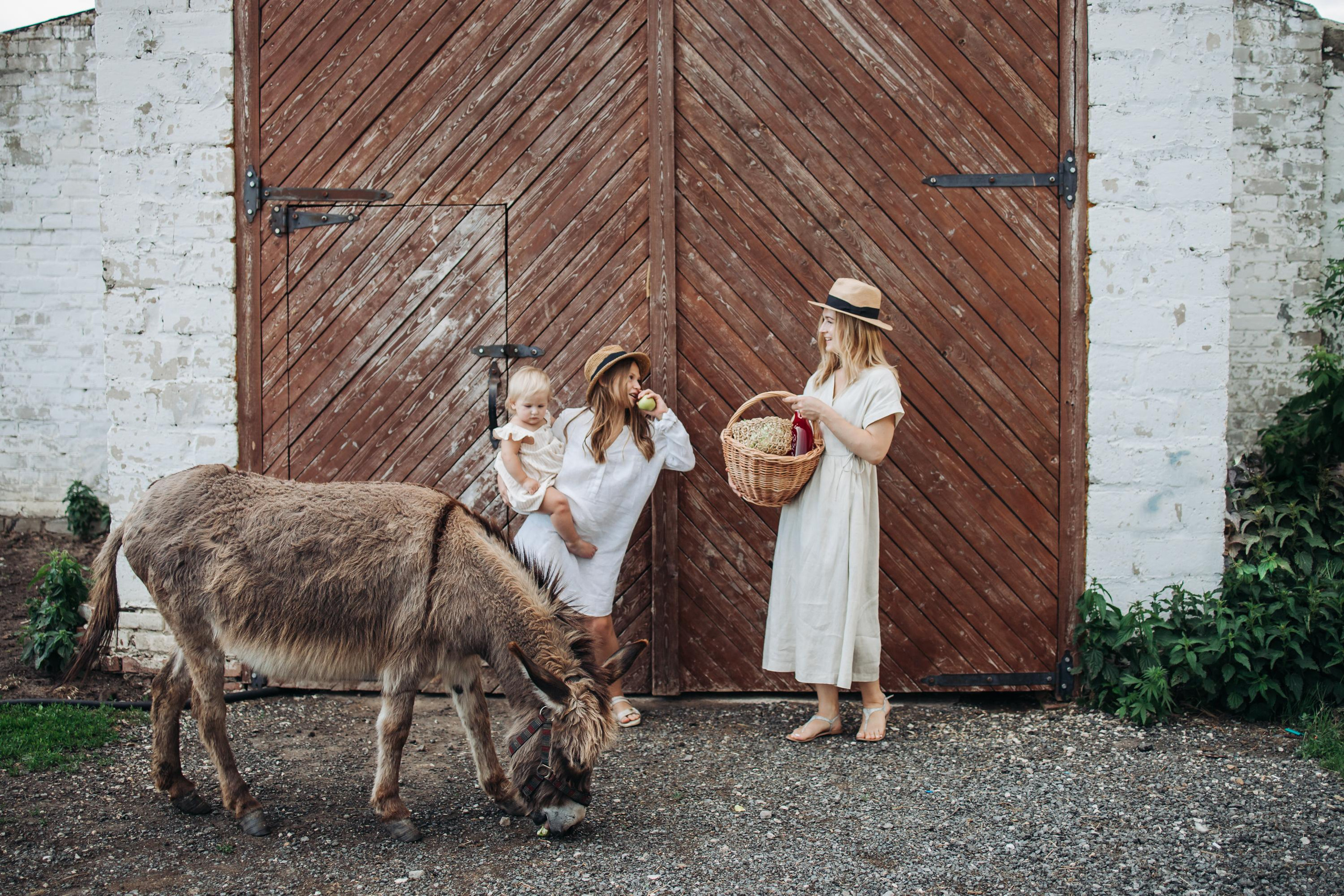 Семейные фотографии. Семейный и свадебный фотограф Viva Photo