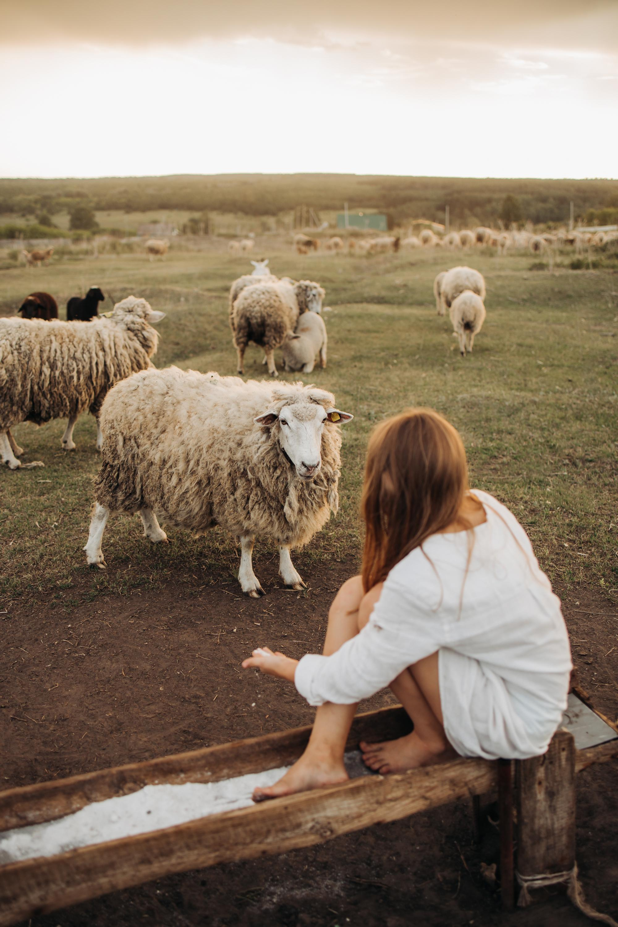 Семейные фотографии. Семейный и свадебный фотограф Viva Photo