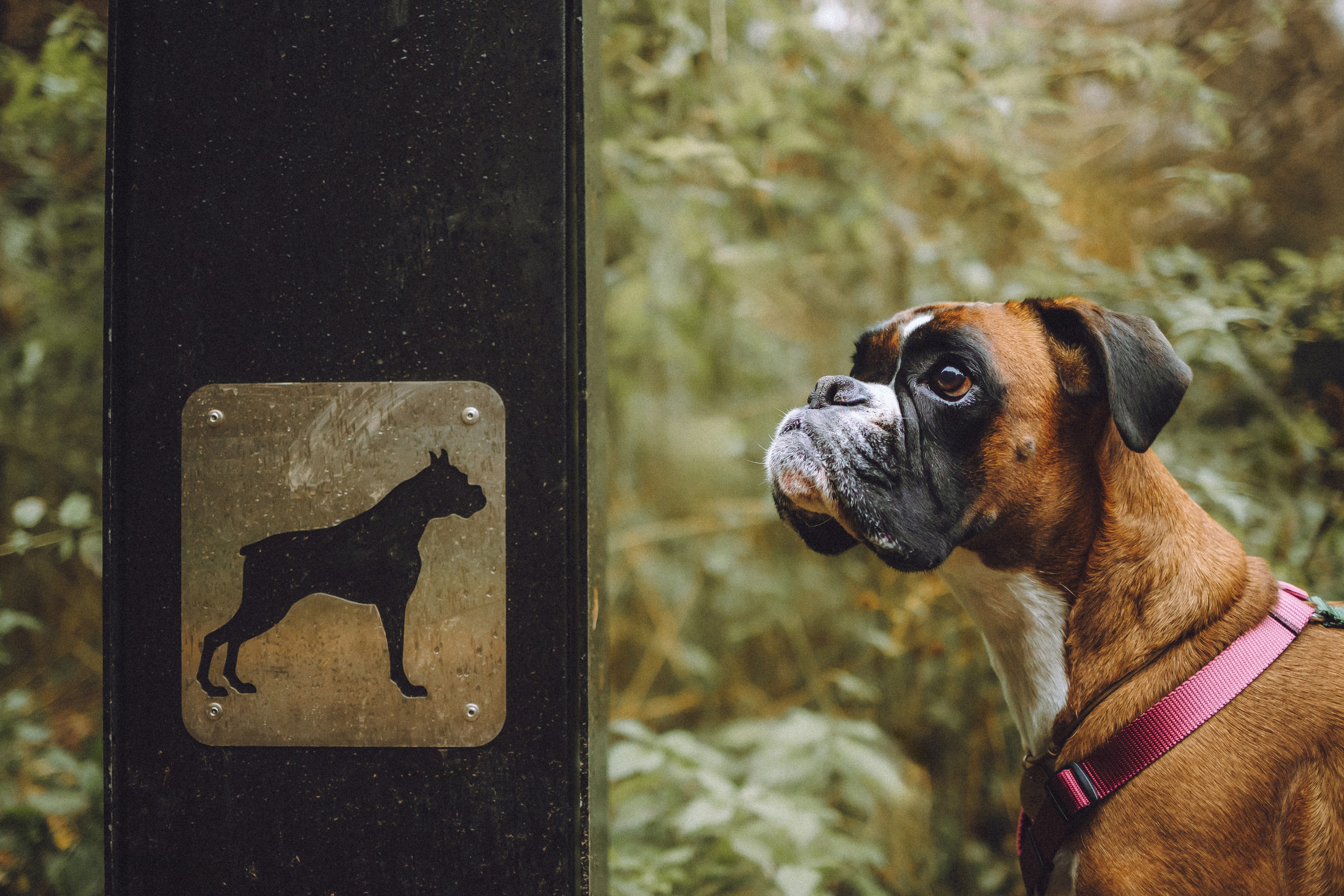 Элли и ее семья