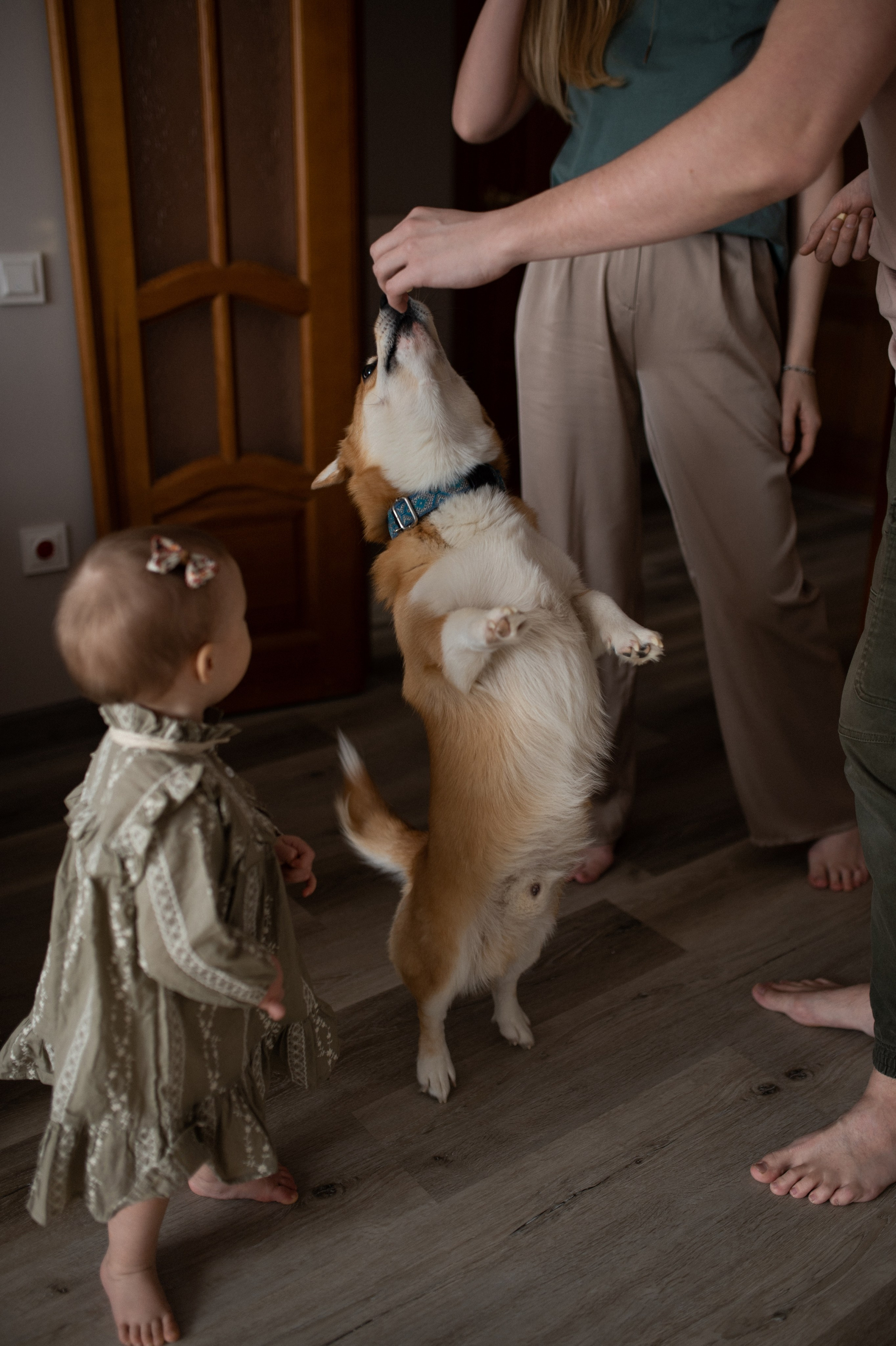 Даша, Саша, Алеся. Www.ostermiller.ru