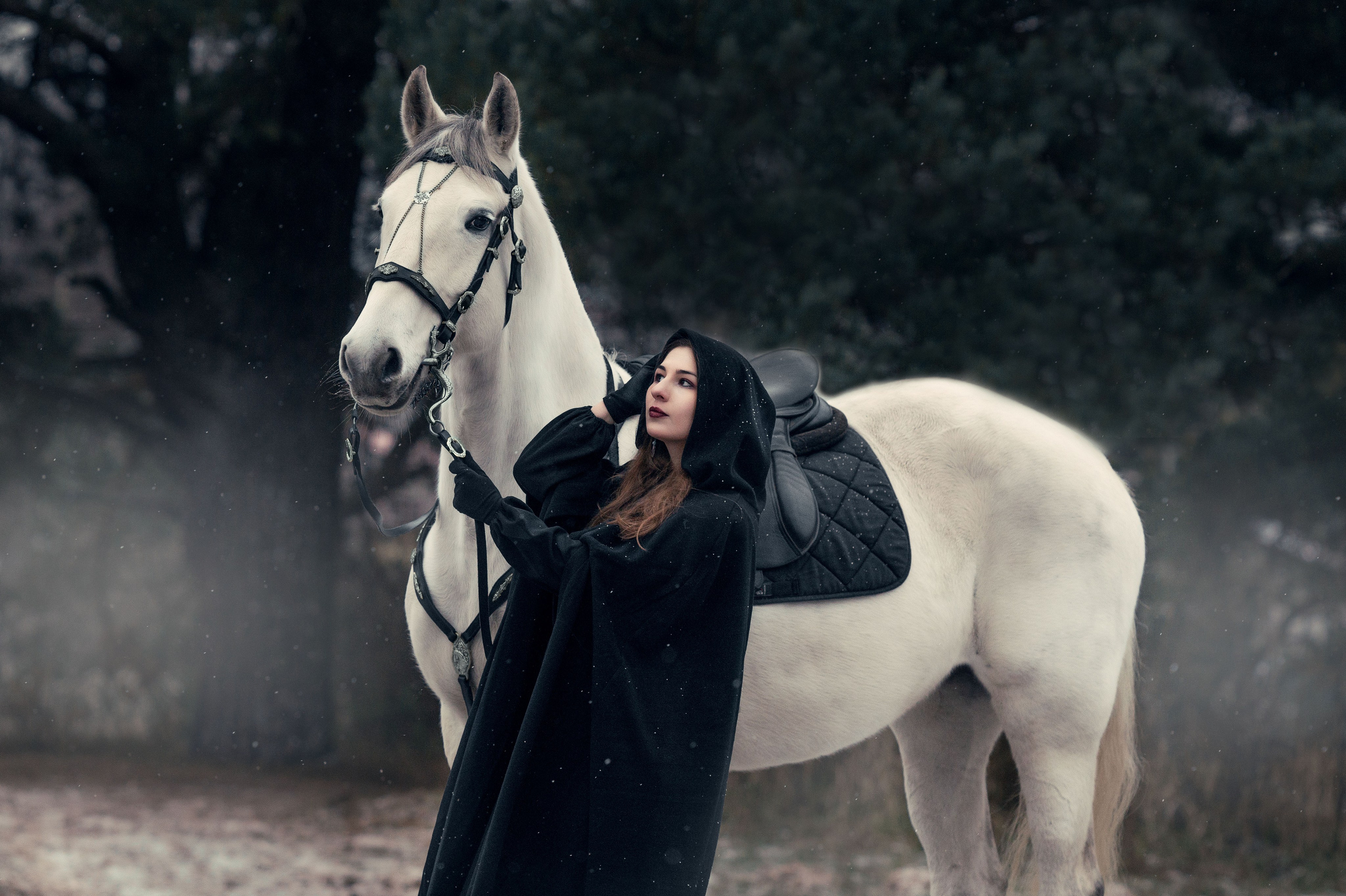 Фото с лошадьми. Фотограф в Калуге фотосессии с лошадьми в Калуге Грешнова Ольга