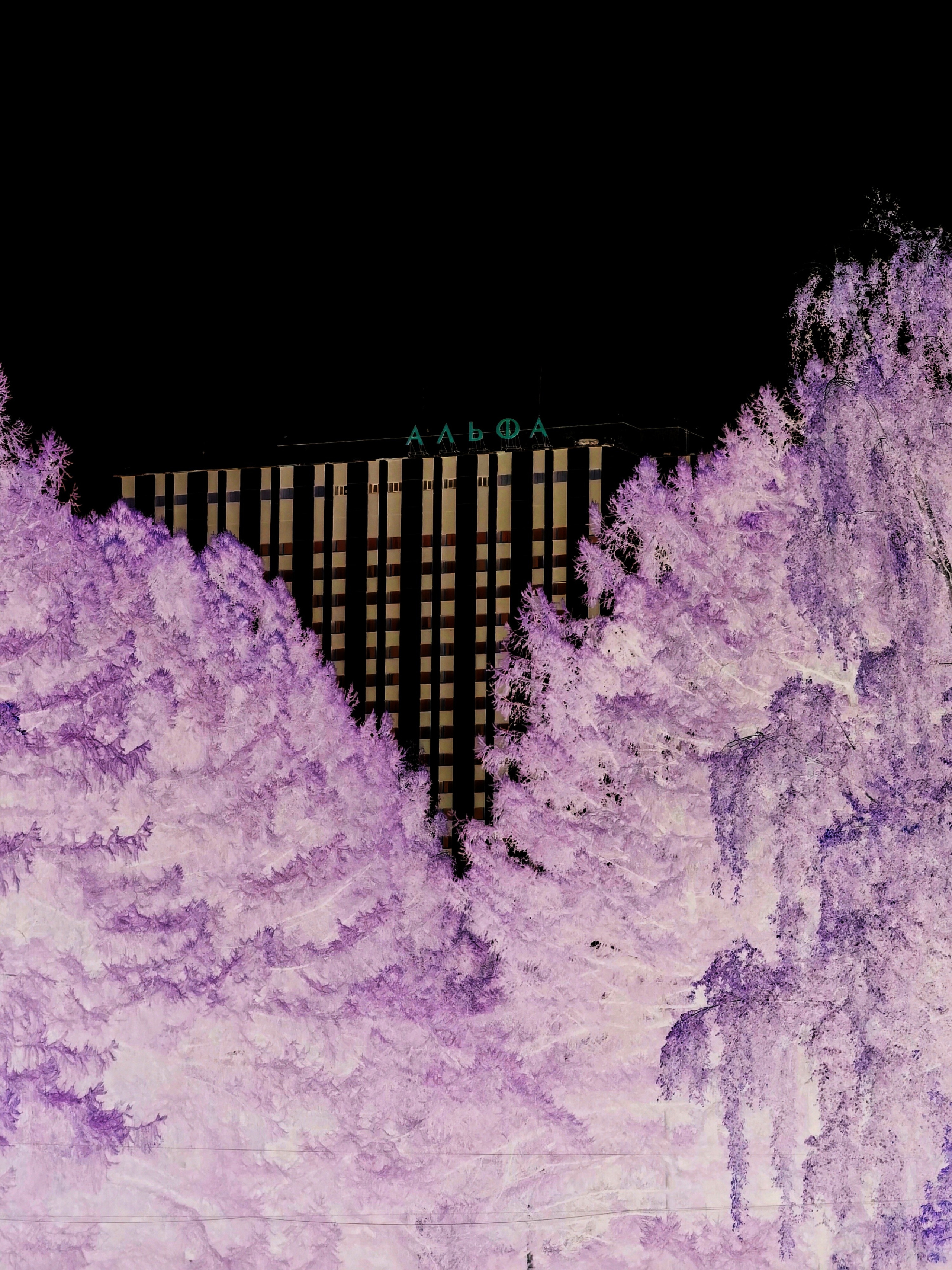 Москва — Кассиопея. E-Tsoy.com