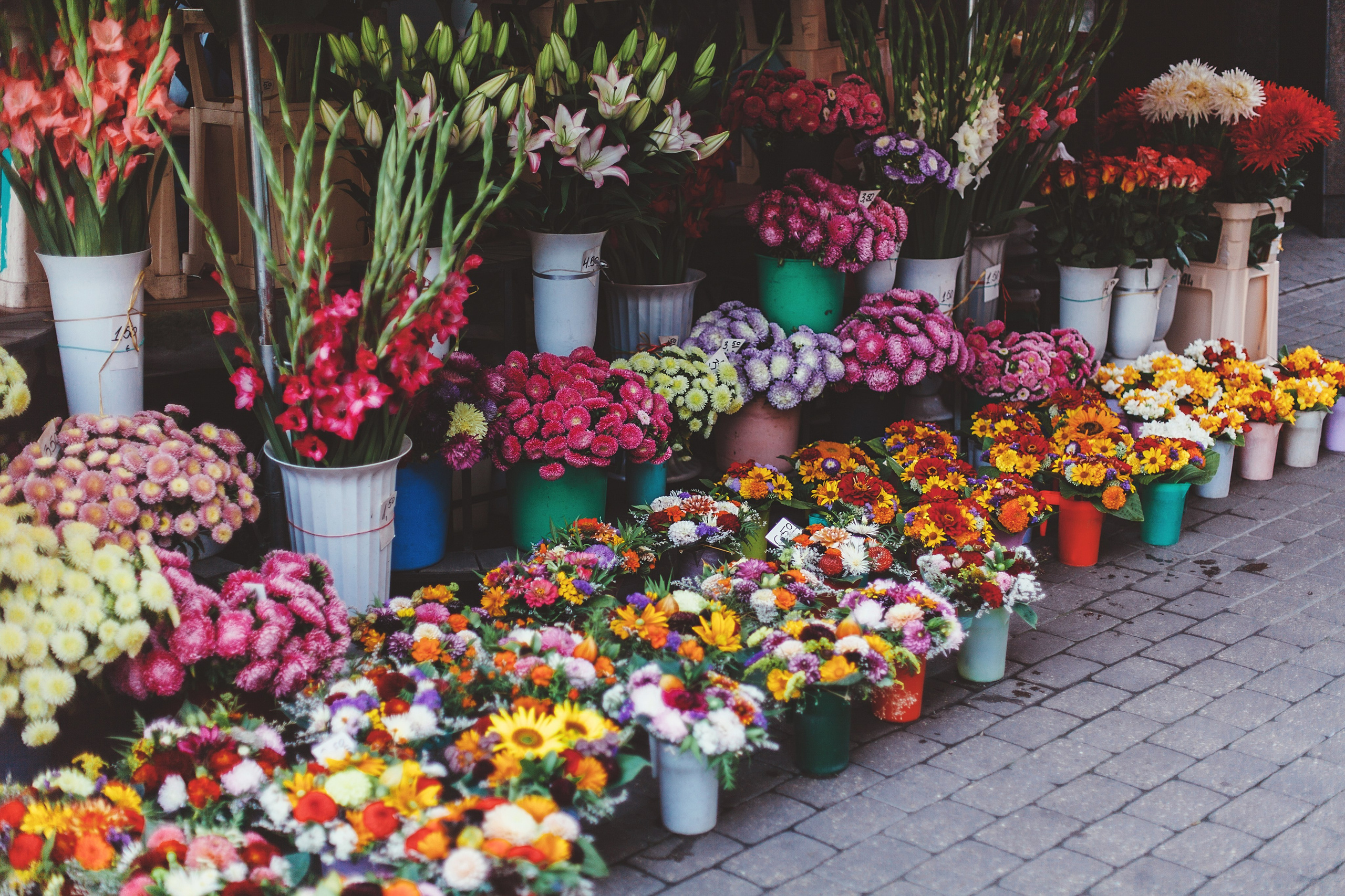 Латвия. Аня Степанова