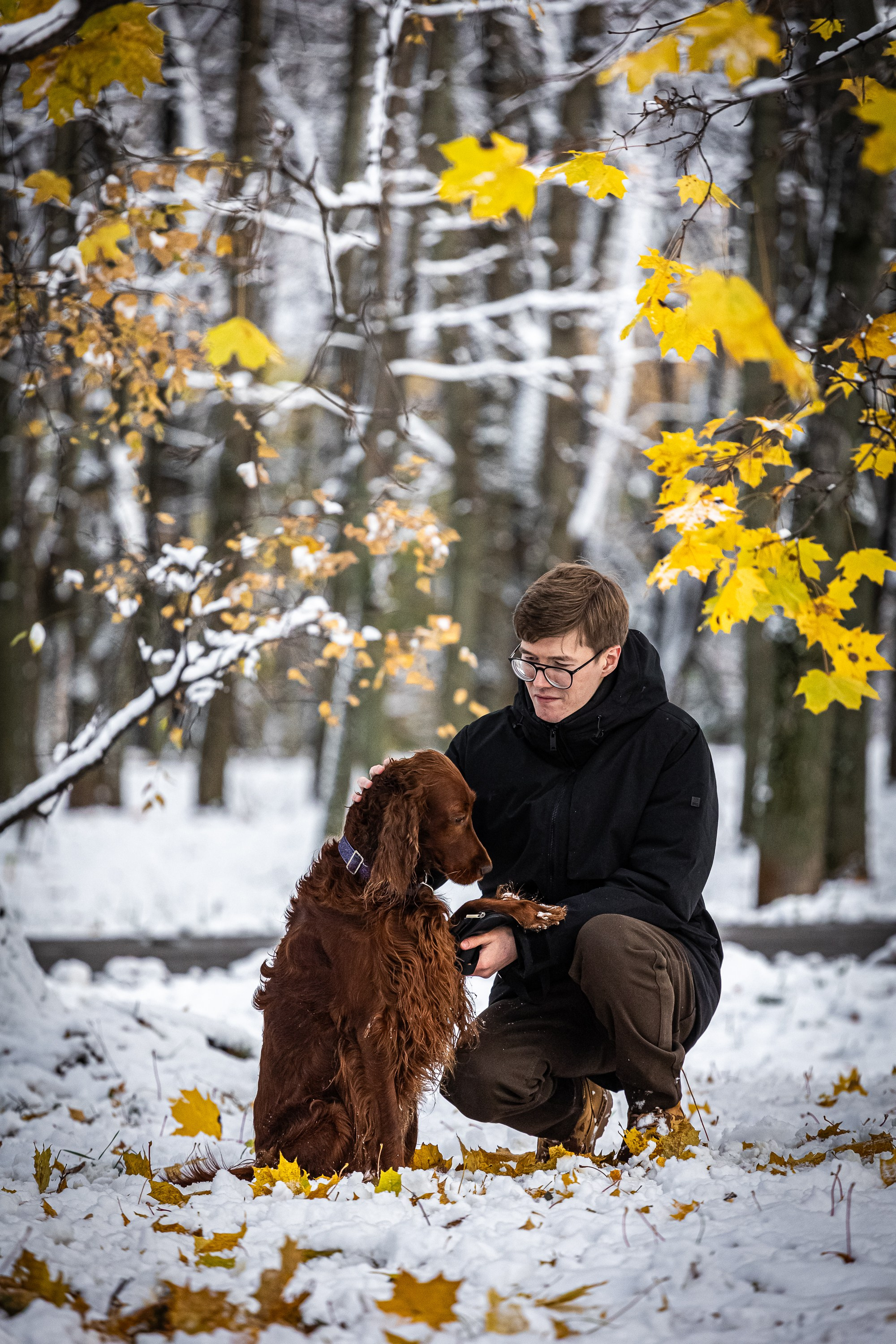 Фотосессии с животными. Добродеева Алла фотограф, Москва