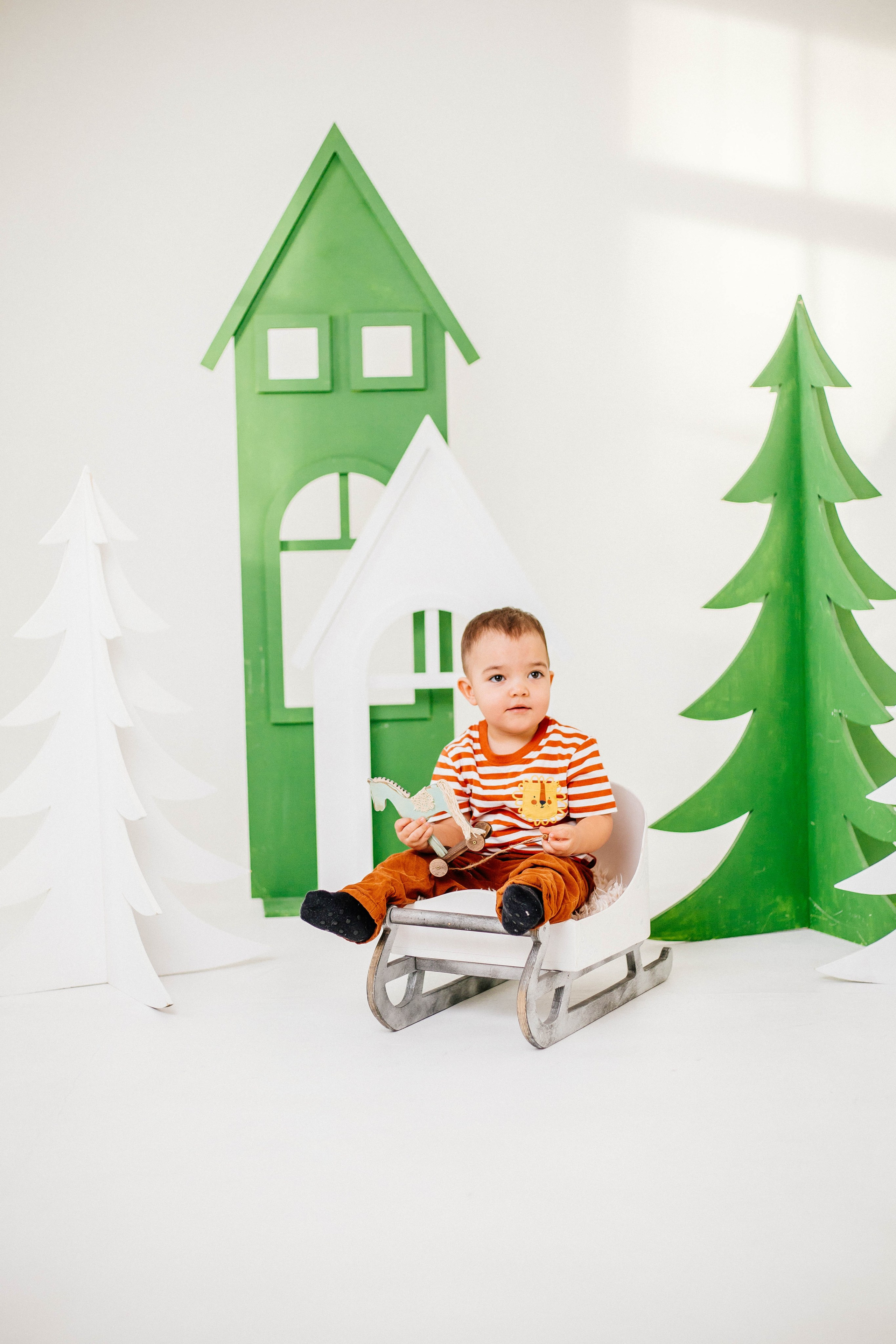 Лев с семьей. Рыжова Тамара