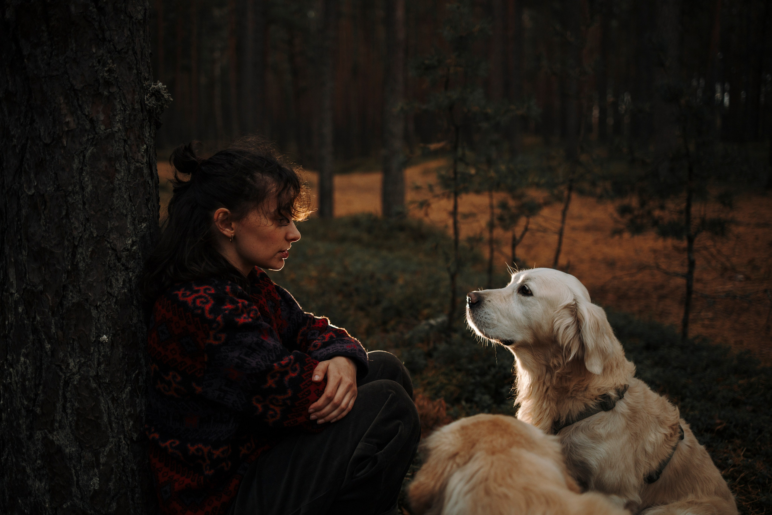 Прогулка Насти с Арчи и Арагоном. Фотограф-анималист в Санкт-Петеребурге Титова Алиса
