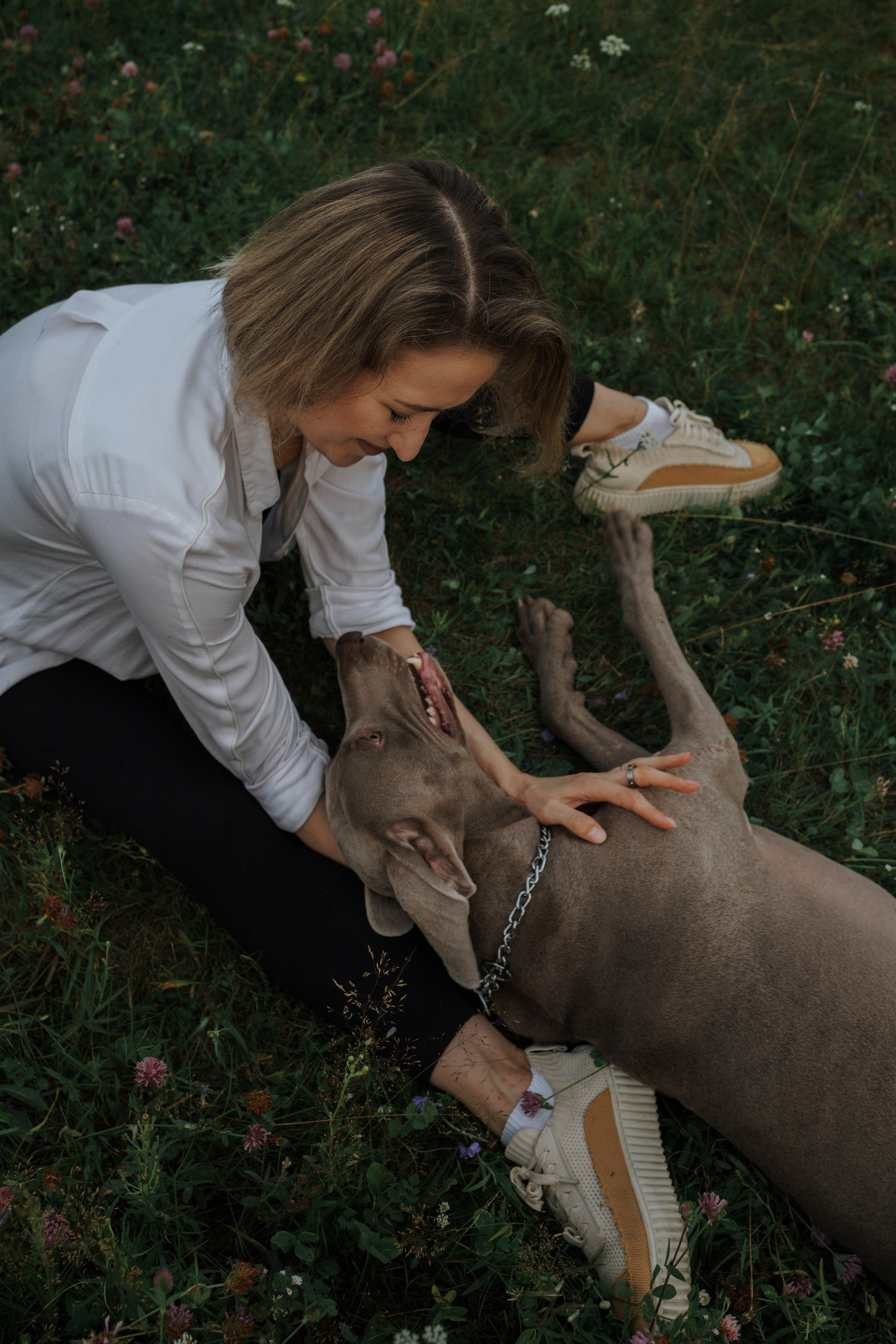 Маргарита и веймаранеры. Фотограф-анималист в Санкт-Петеребурге Титова Алиса
