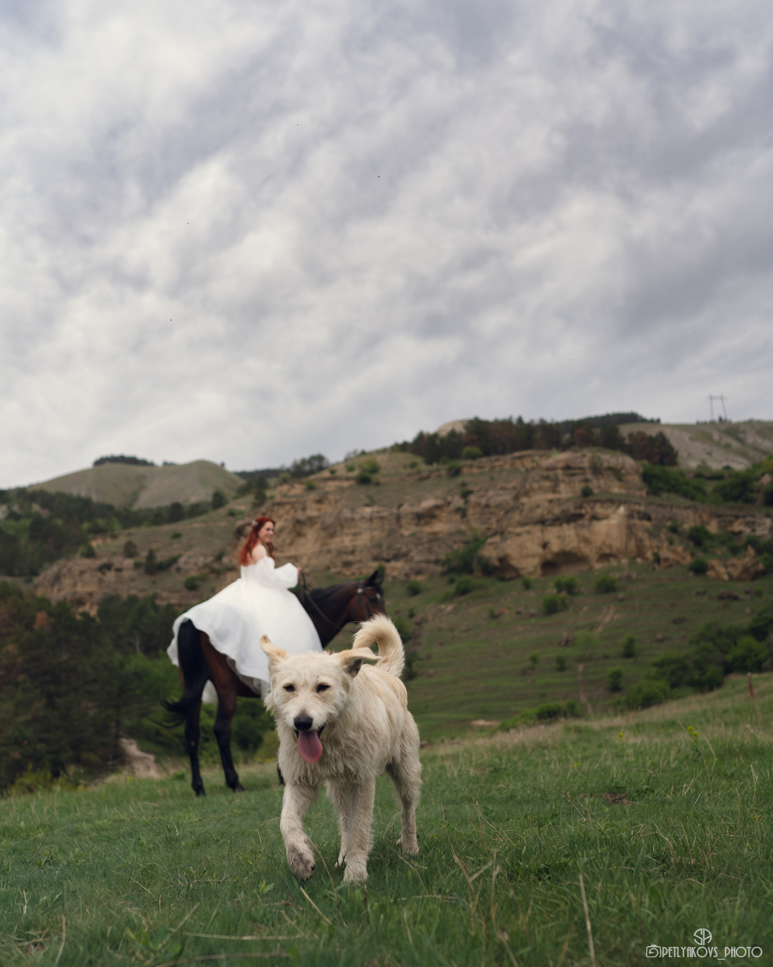 Свадебная фотосессия для Виктории и Глеба. Фотограф, видеограф Пятигорск, Ставрополь, Ессентуки, Petlyakovs_photo