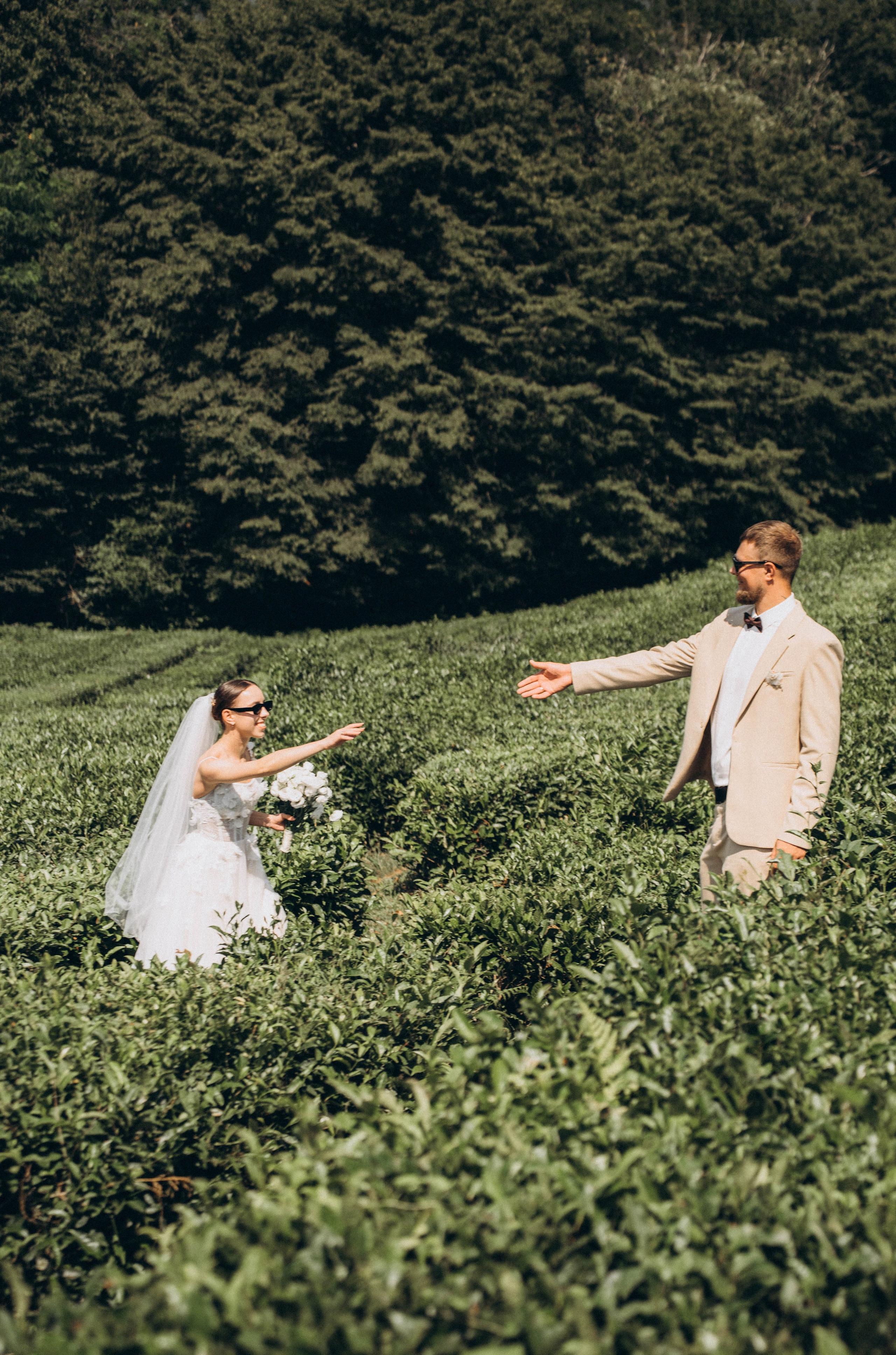 Свадебная фотосессия СПб, Сочи и Красная Поляна — сделать свадебную фотосессию