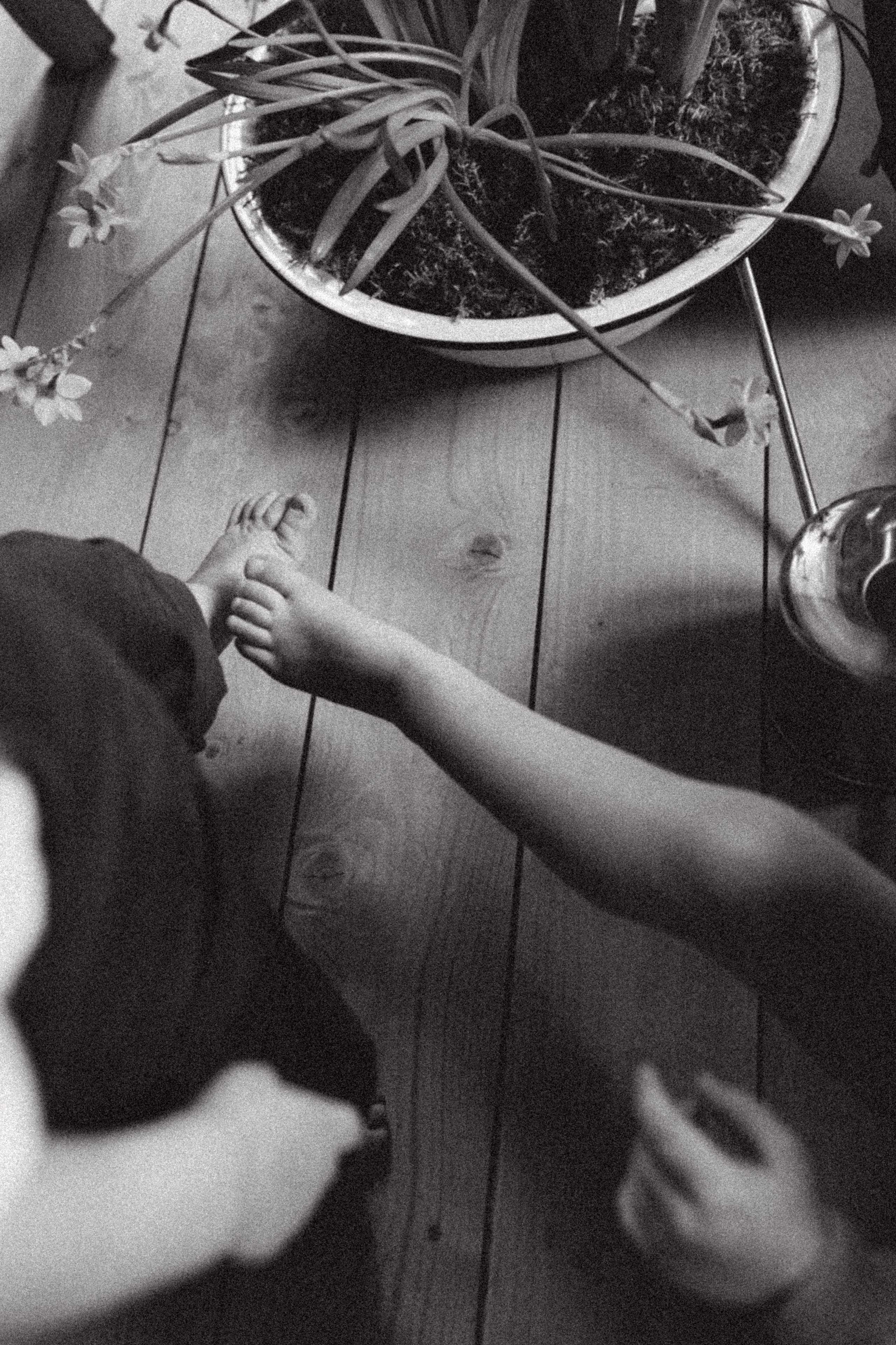 Смех слёзы и сырники. Семейный фотограф в Москве Алина Савченко