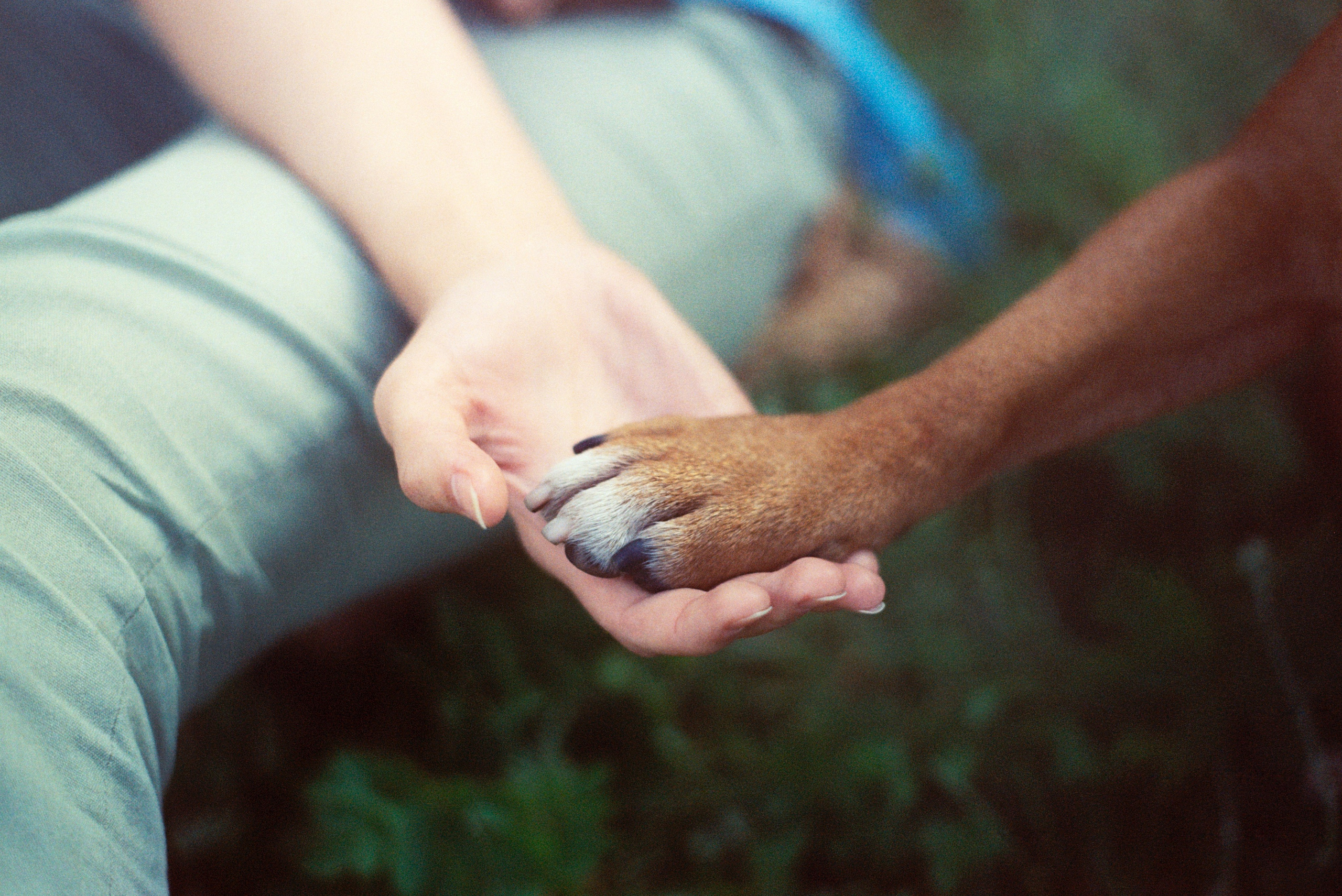 VOX. Стилист и плёночный фотограф Анастасия Шлокова в Санкт-Петербурге и Москве