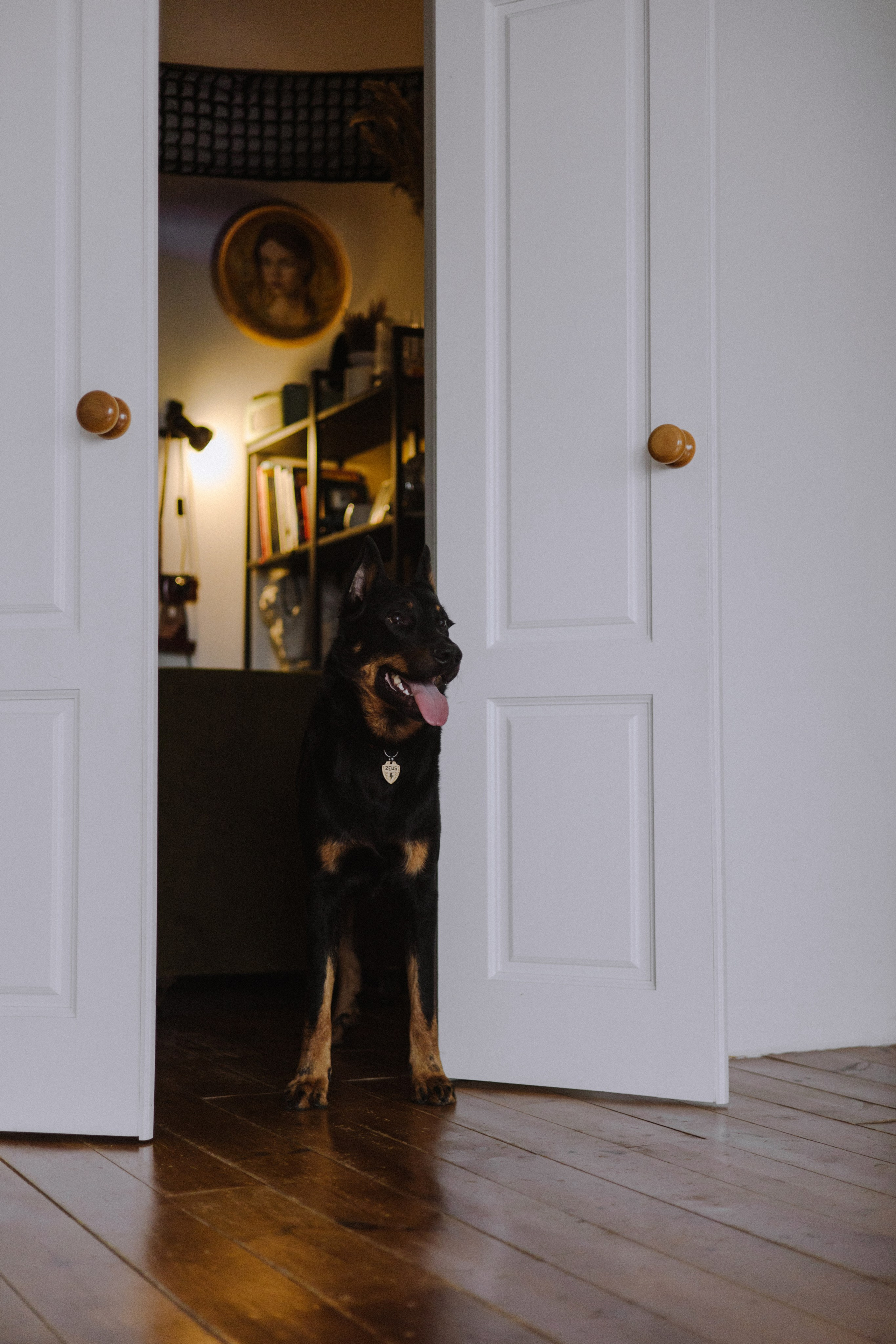 Полина и Зевс. Фотограф-анималист Богданова Полина