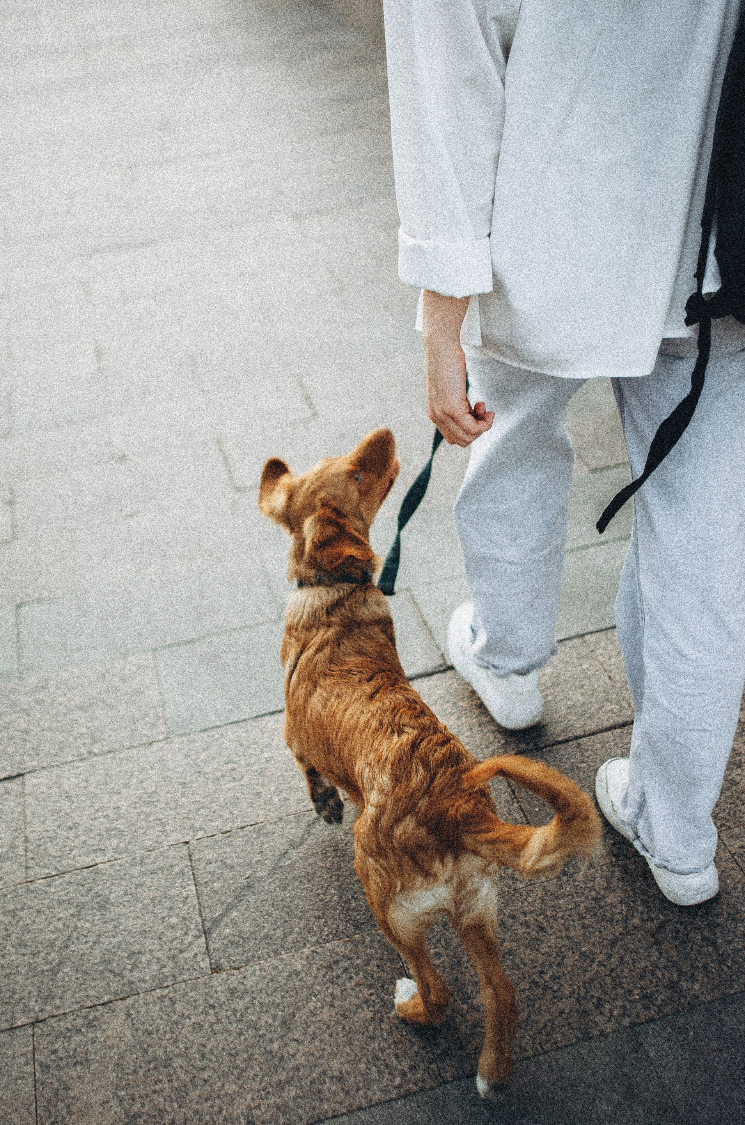 Вика и Хардин. Фотограф-анималист Богданова Полина