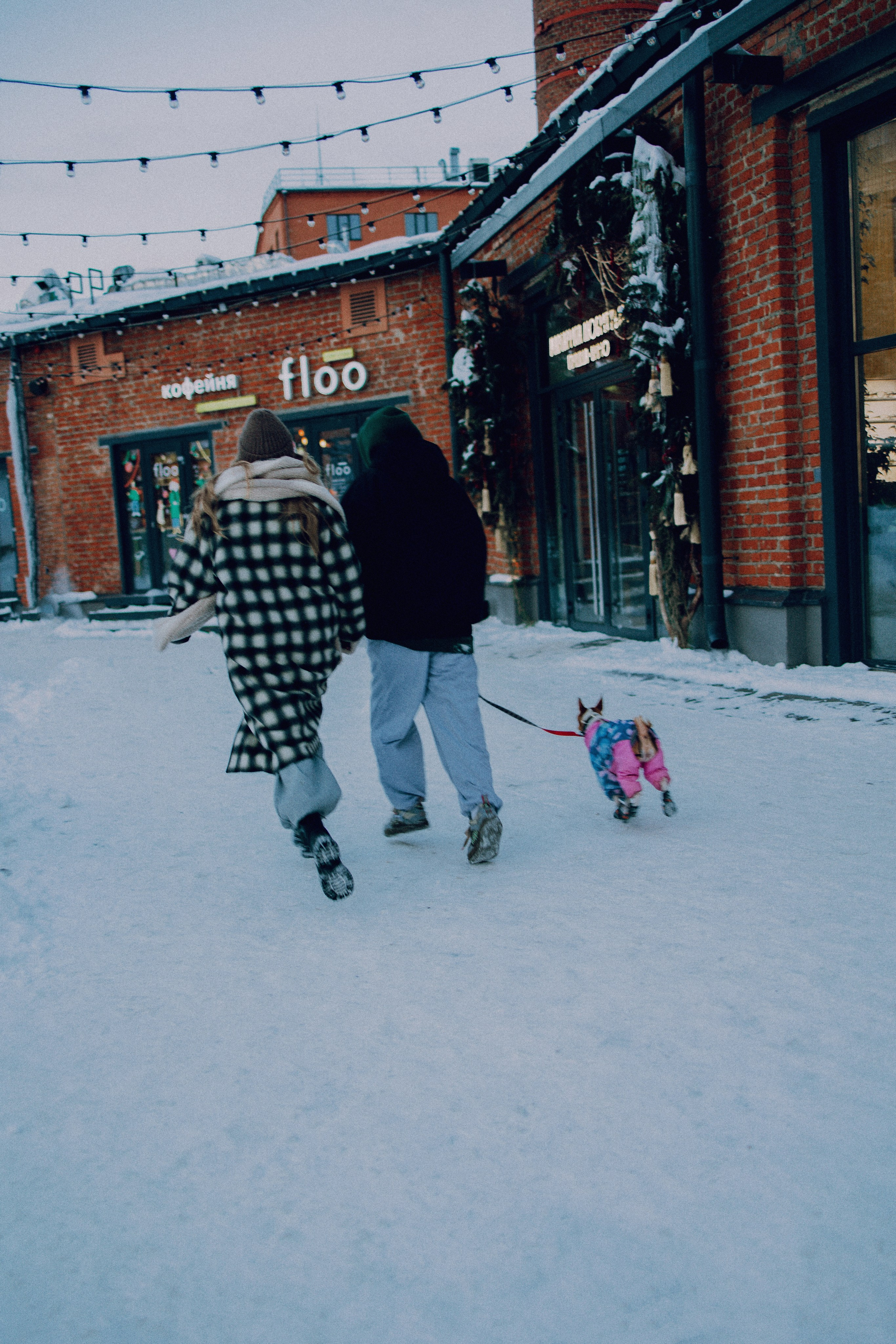Люба, Никита и Бахати. Фотограф-анималист Богданова Полина