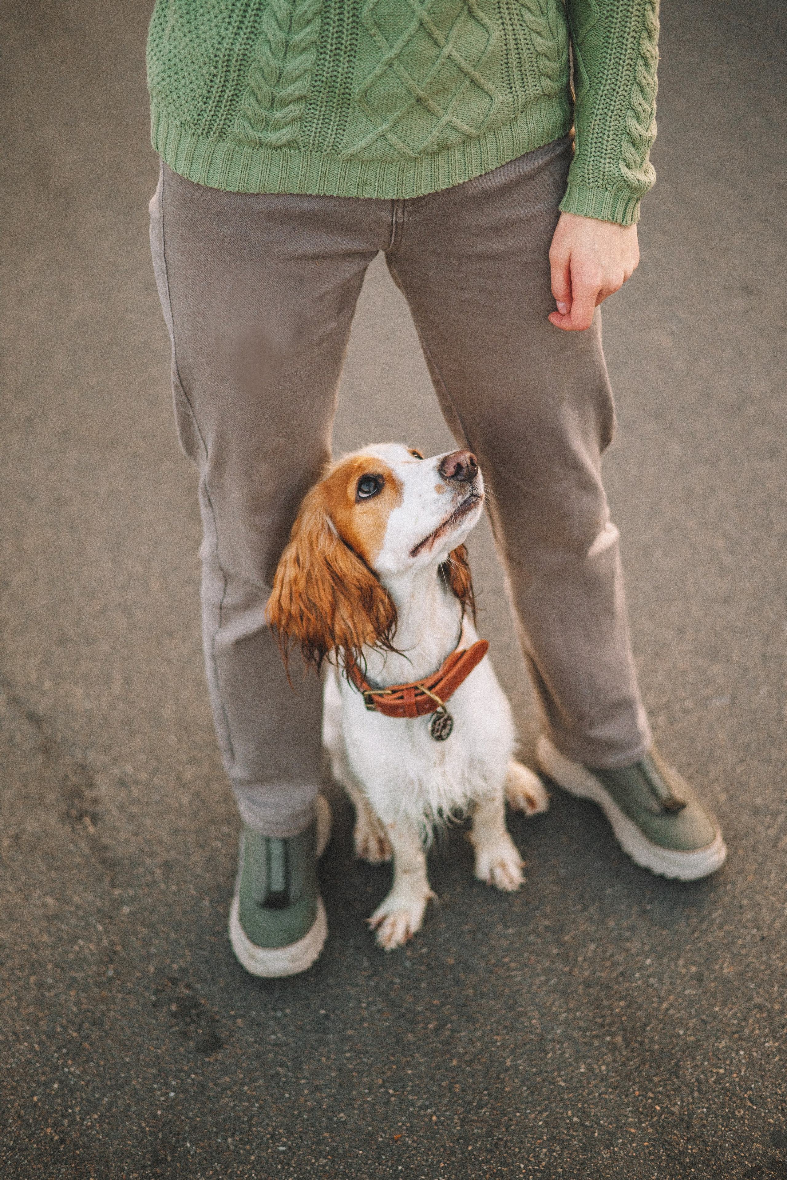 Маша и Вега. Фотограф-анималист Богданова Полина