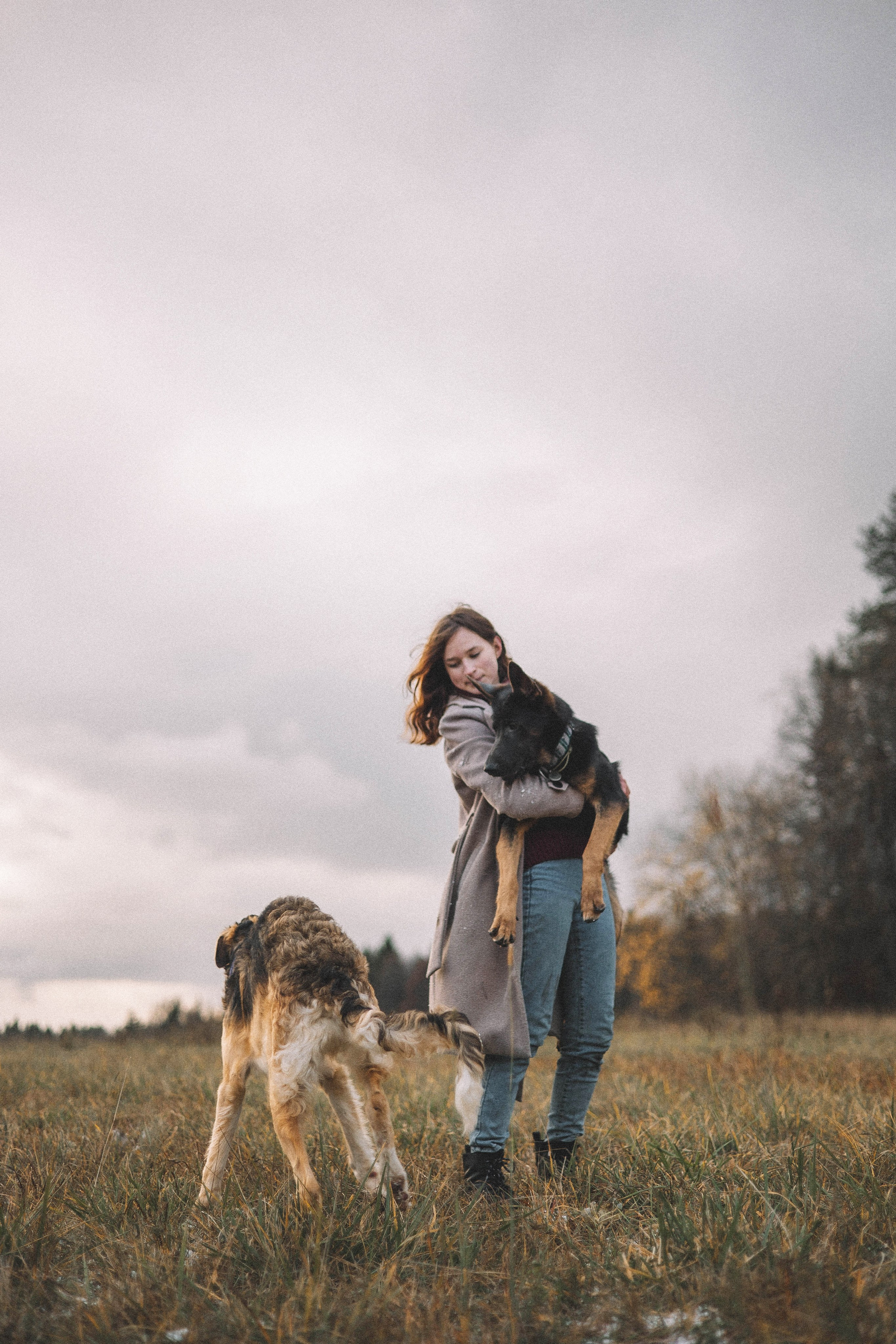 Алена, Леви и Микаса. Фотограф-анималист Богданова Полина