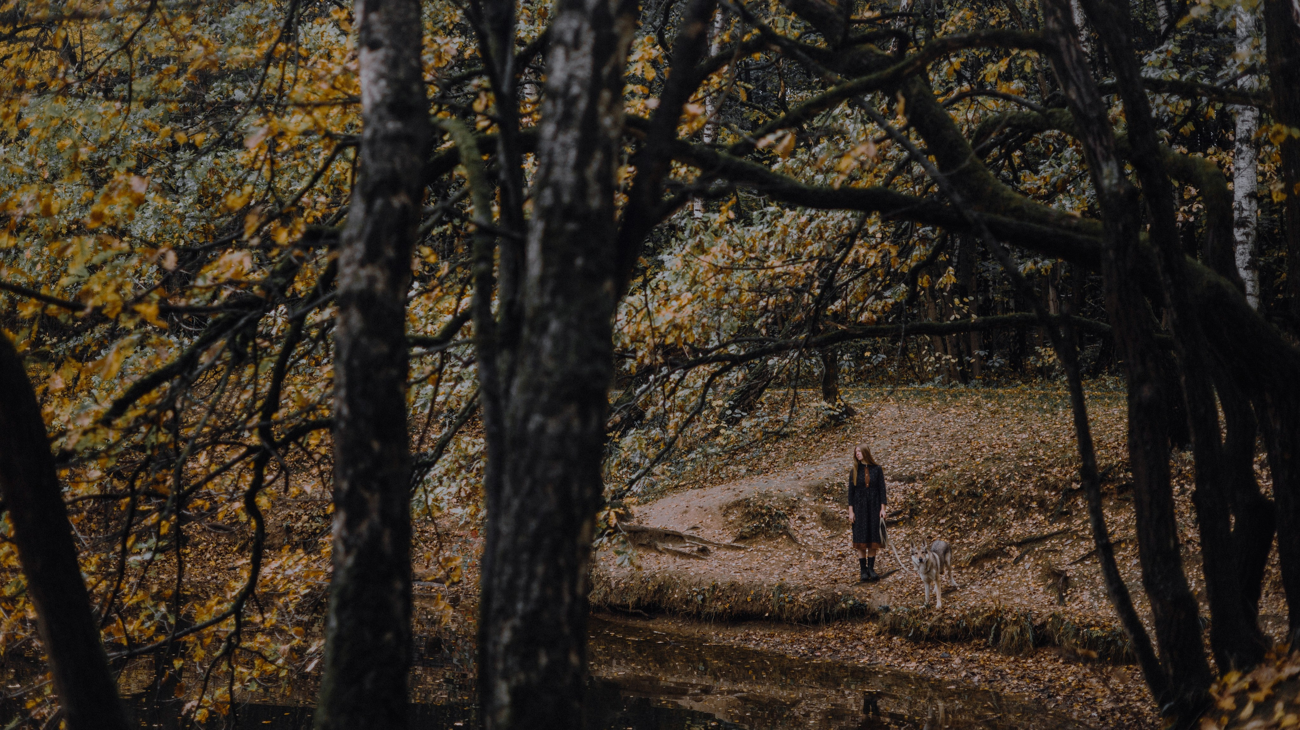 Полина и Вегард. Фотограф-анималист Богданова Полина