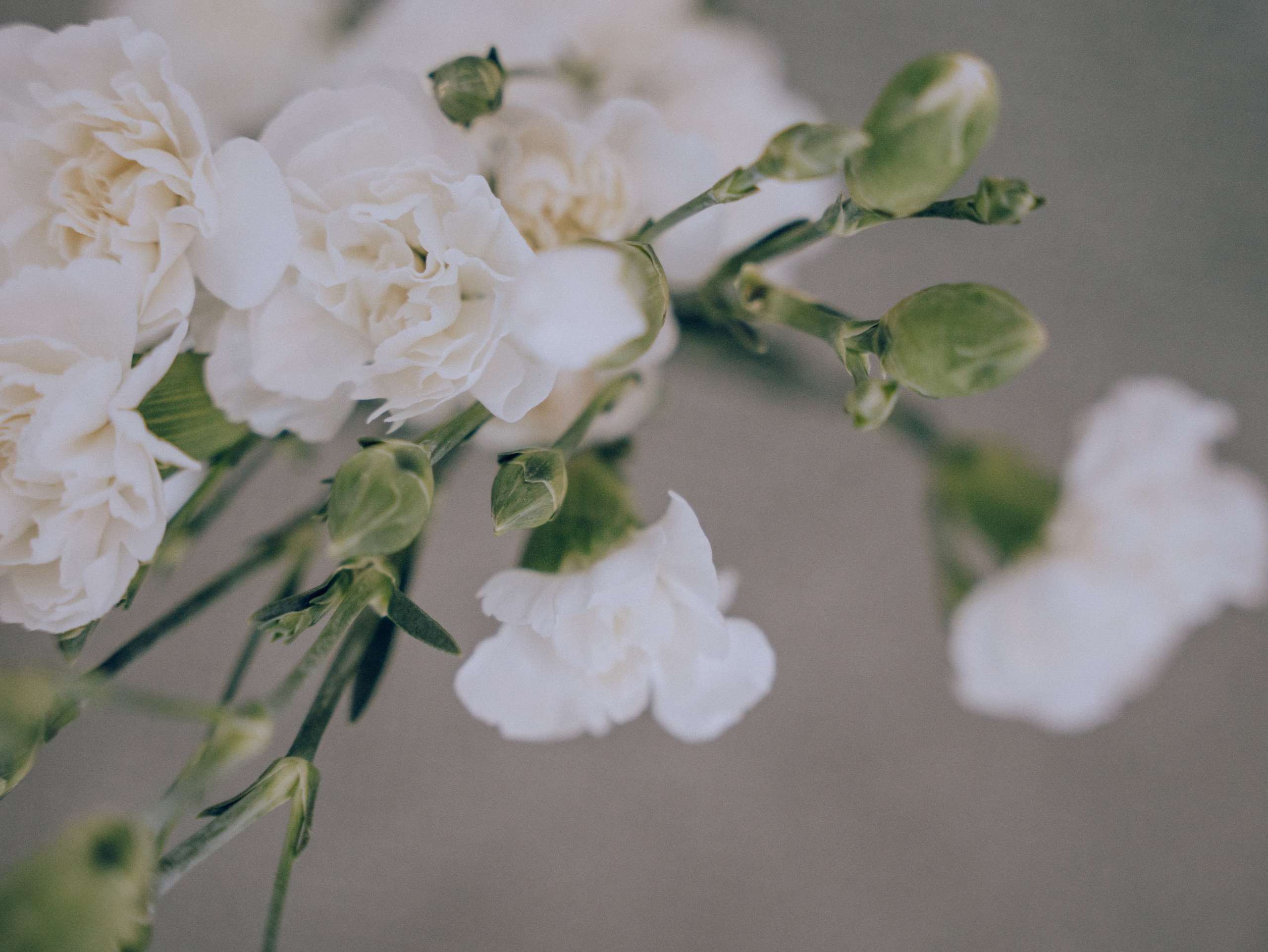 О&Н. Свадебный фотограф Ирина Беляева Пятигорск|Кисловодск|Эльбрус|Домбай