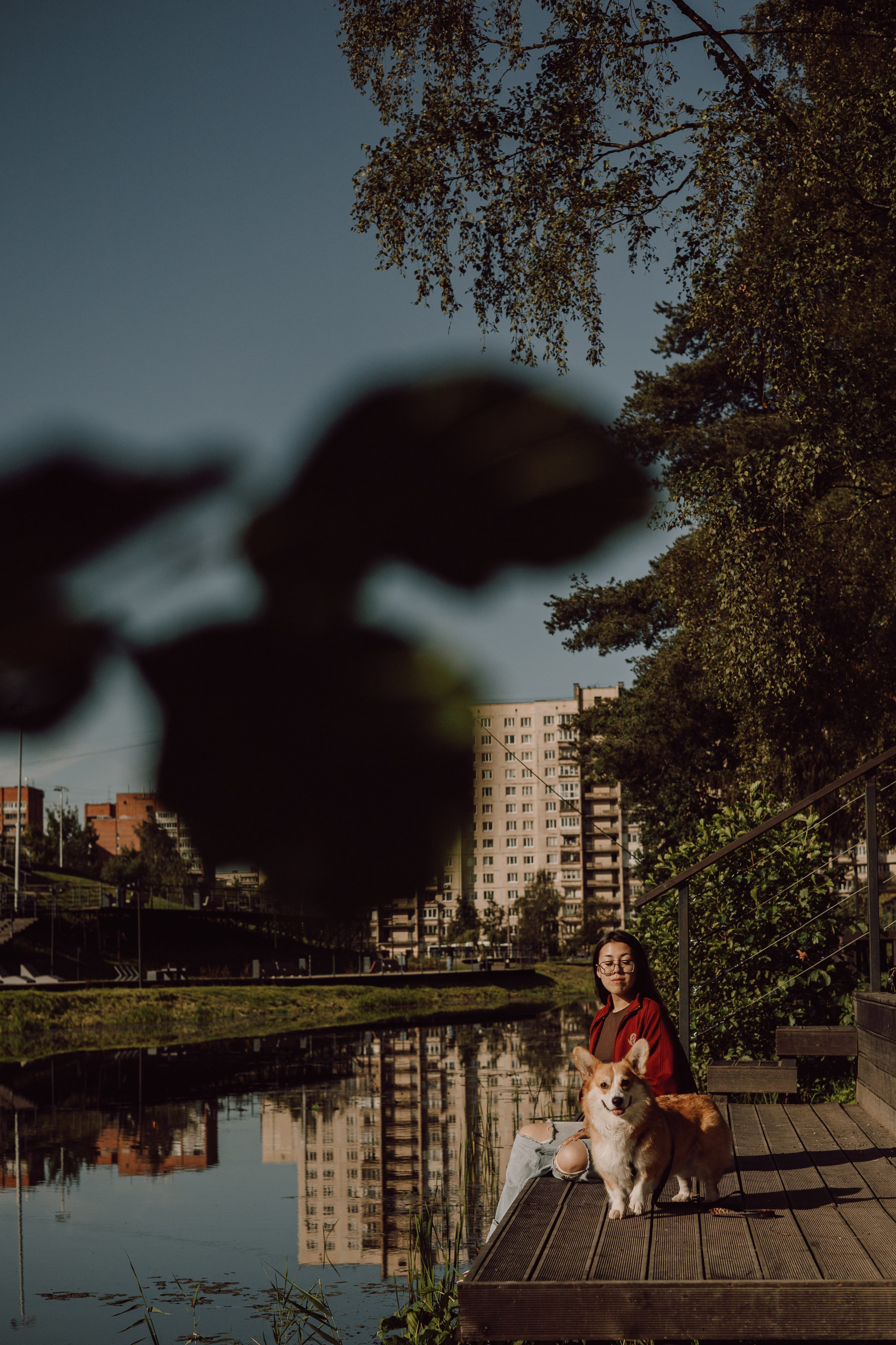 Йосик и его Мари. Фотограф — анималист •love-story•|Санкт-Петербург