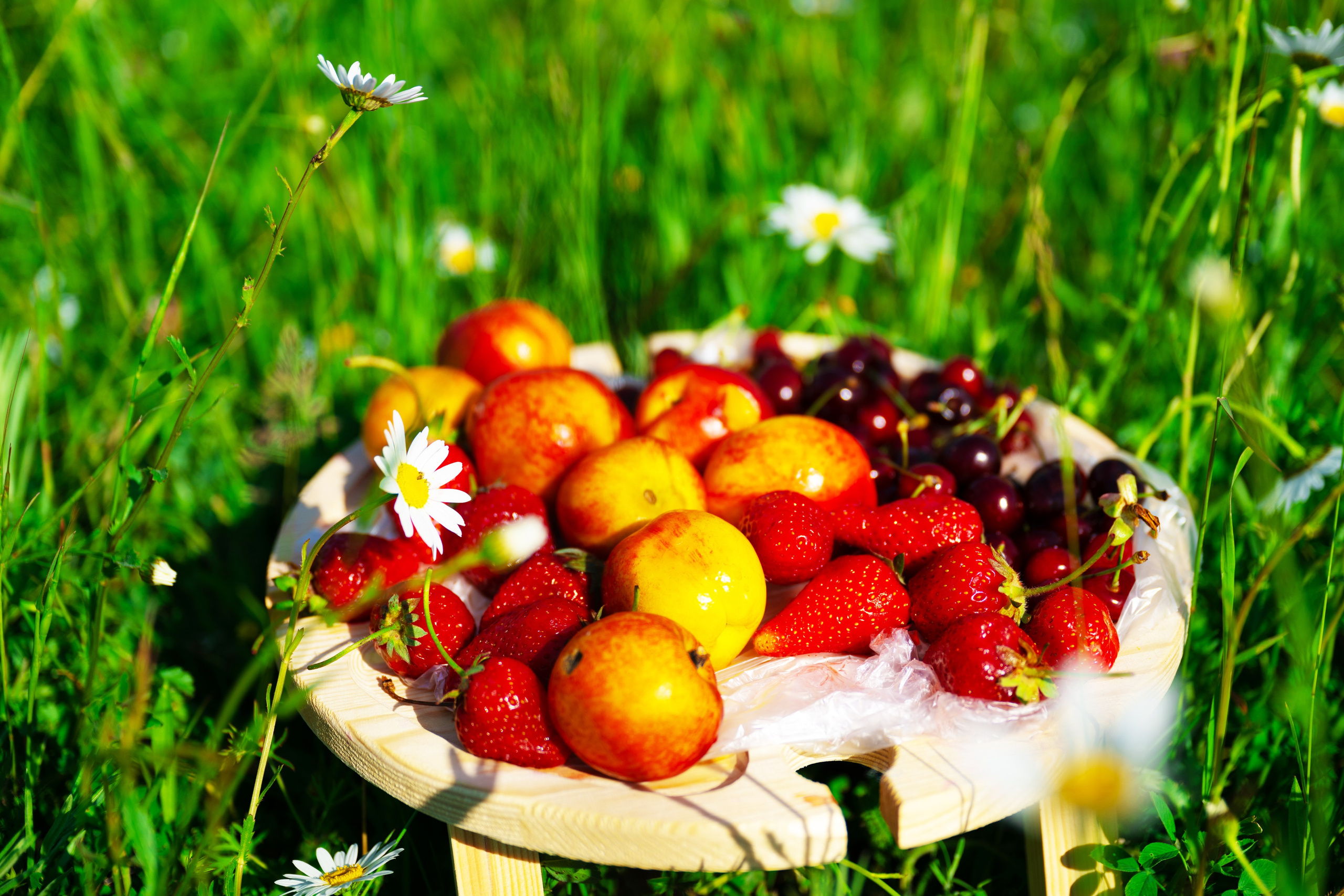 Выездные и прогулочные фотосессии. Морские, Street. Студийный и свадебный фотограф и видеограф в Севастополе — Юлия Макаренко