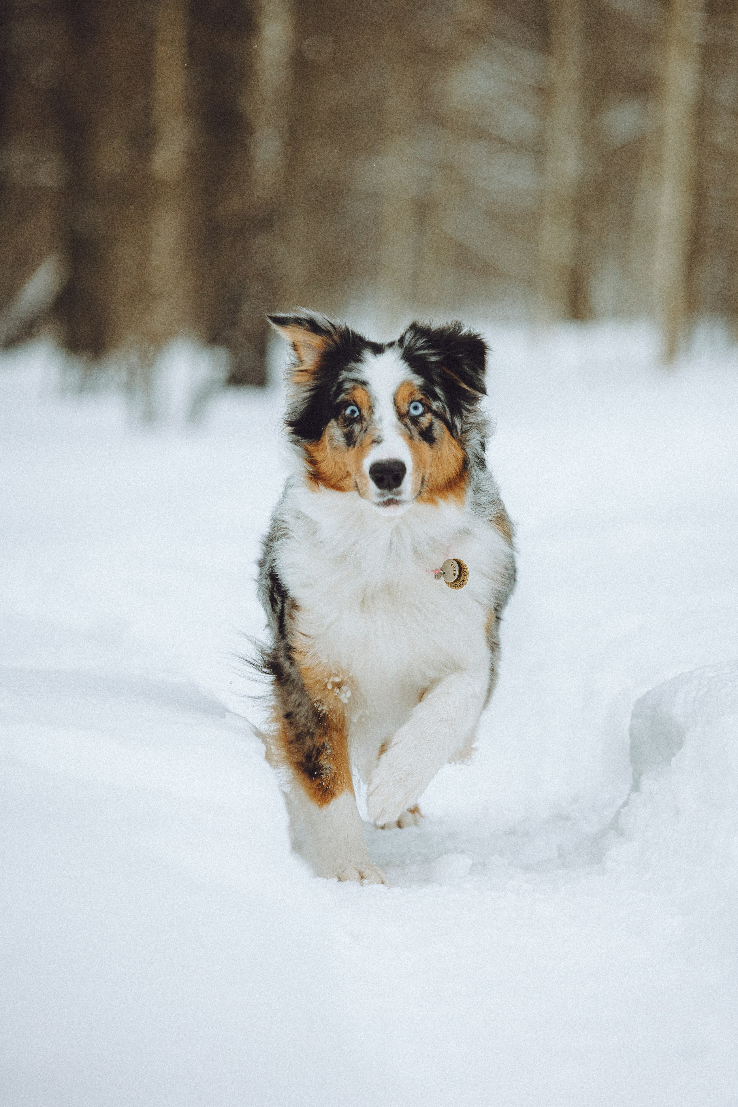 Фаня и ее семья