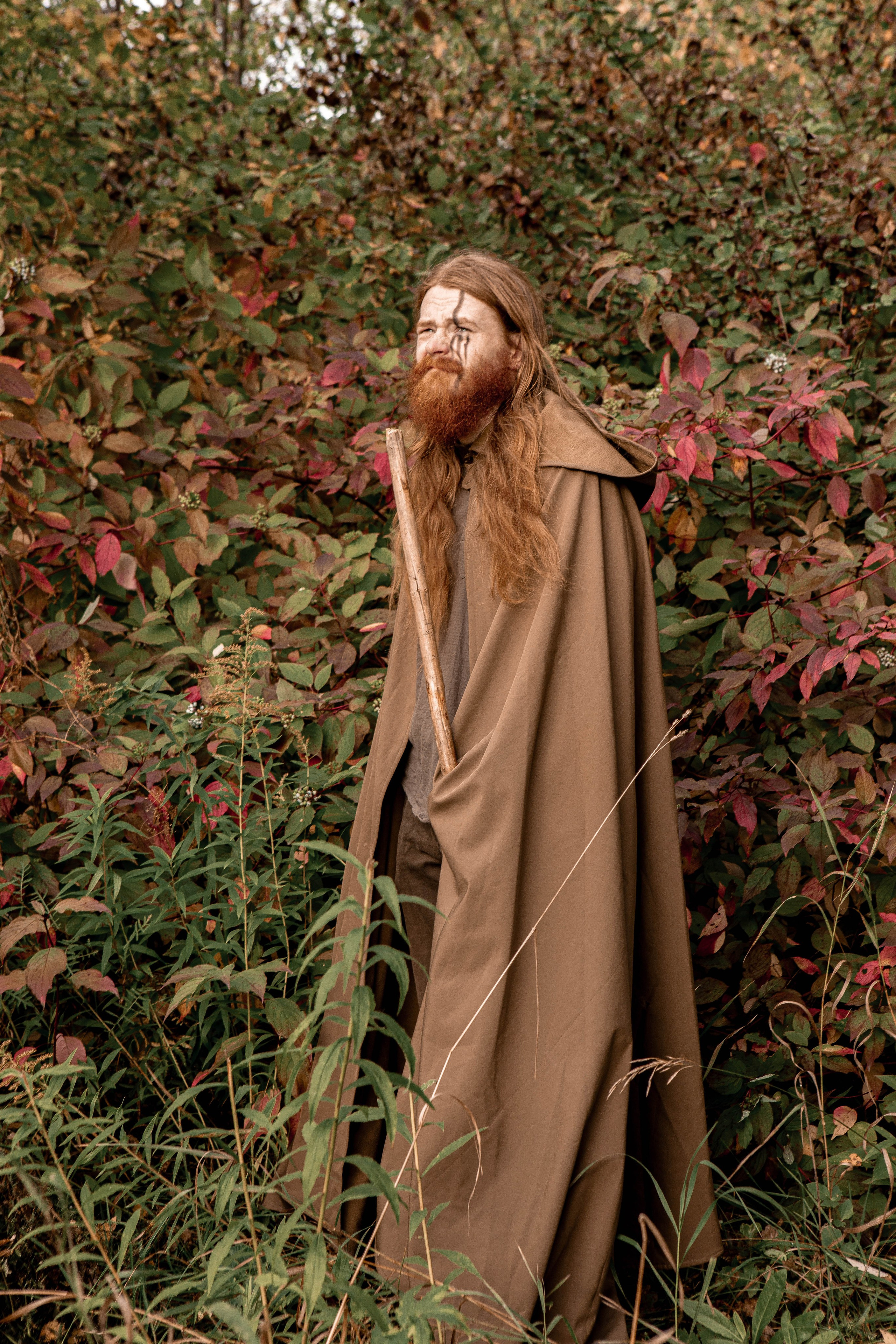 Волшебный лес. Фотограф Екатерина Голицына