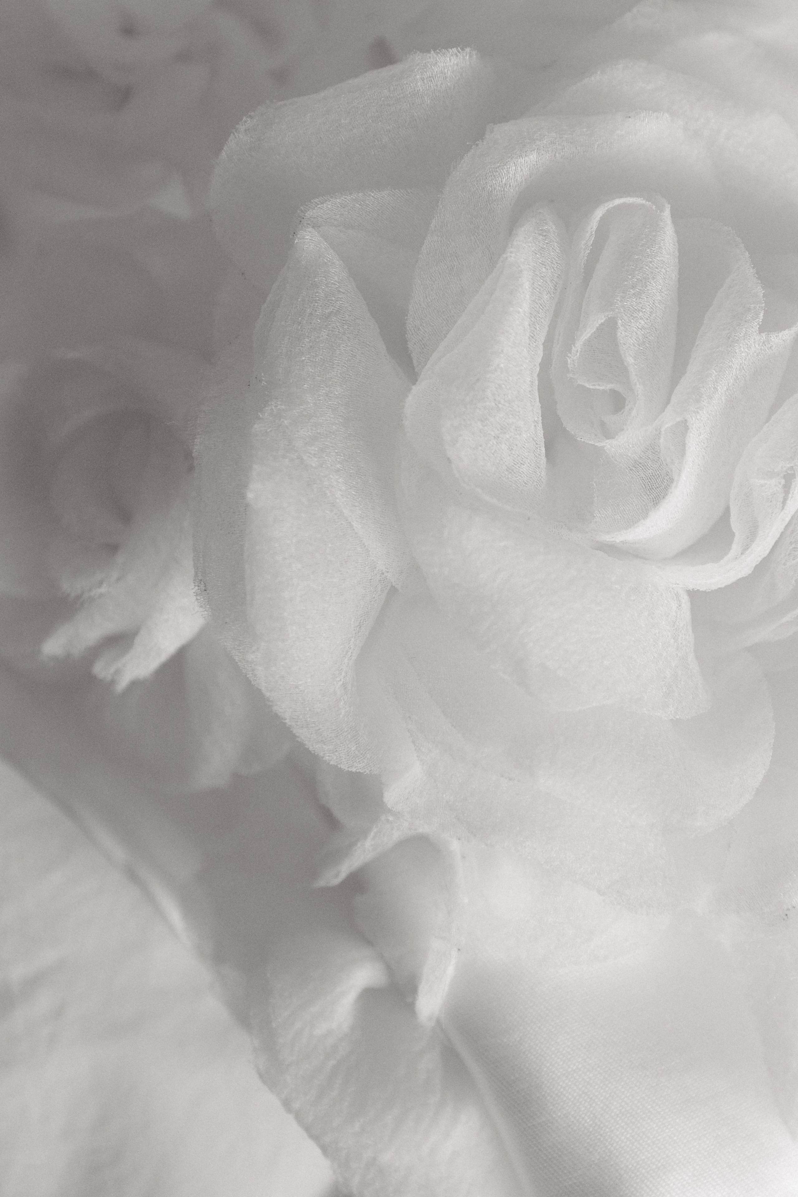 Алексей и Виктория. Свадебный фотограф Фадеева Алёна