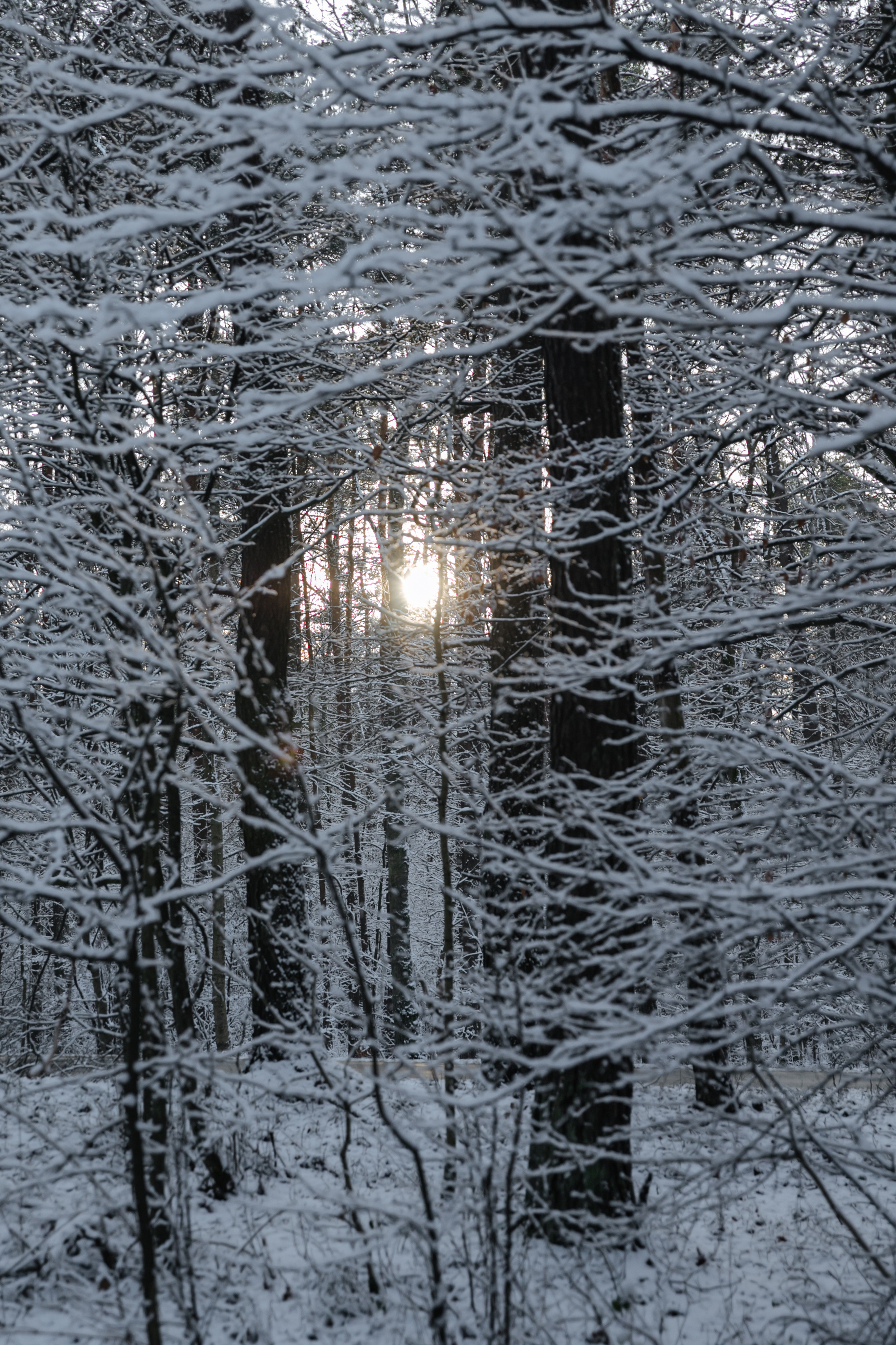 Рождественская история. Фотограф и ретушёр Мария Гущина