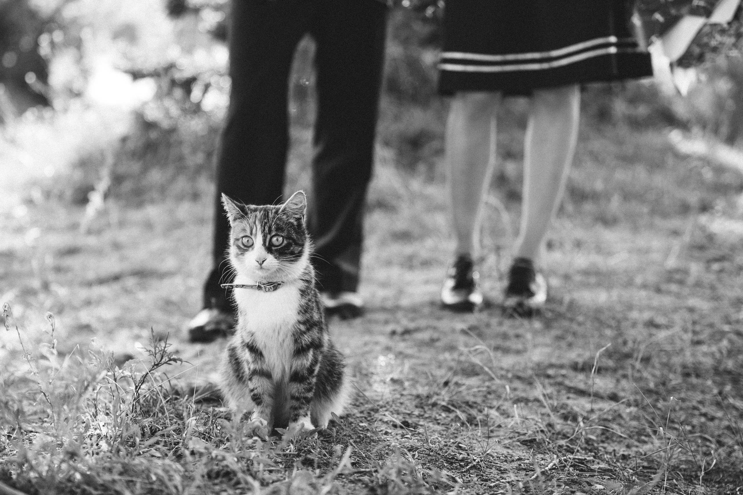 Алексей и Ольга. Фотограф и ретушёр Мария Гущина