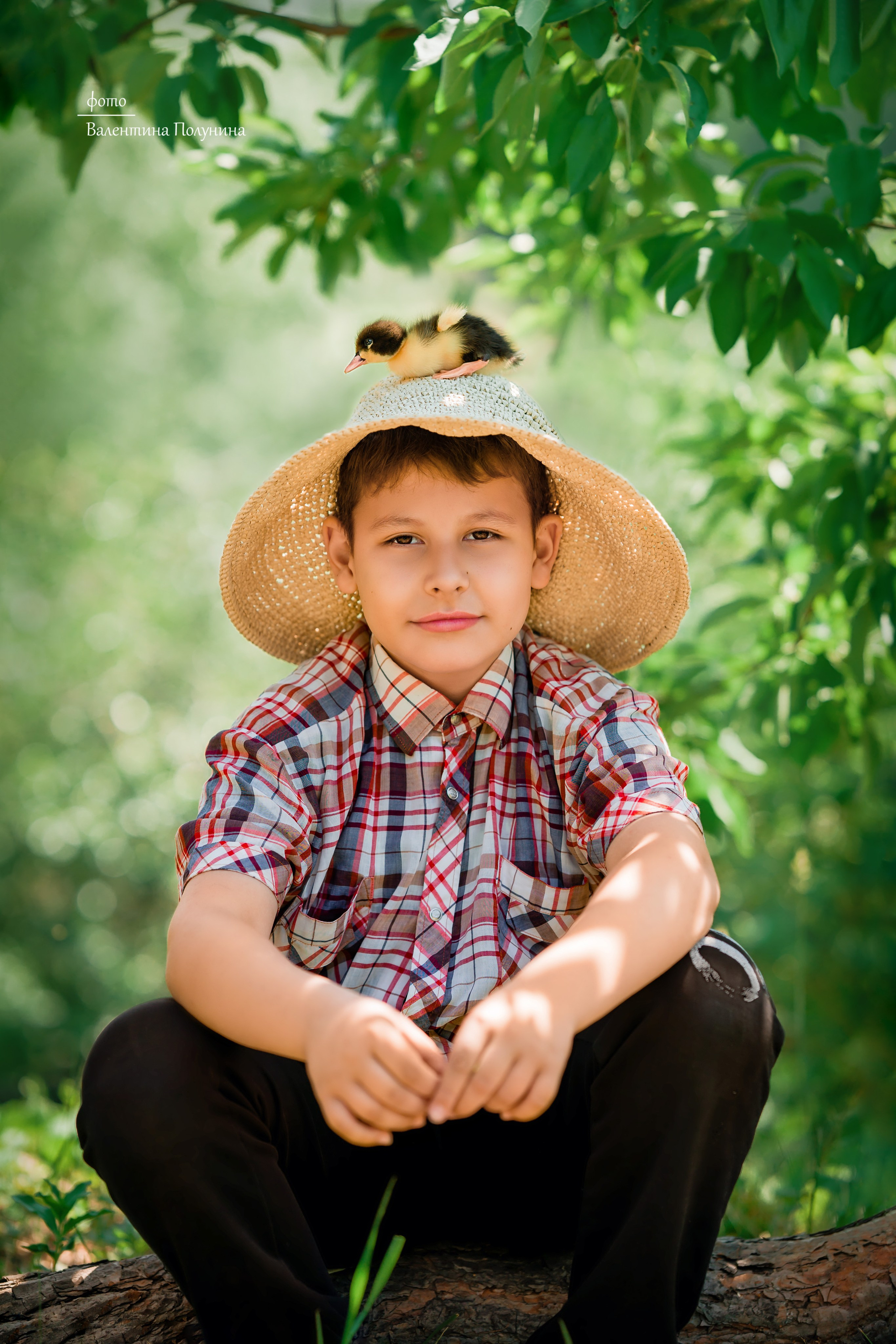 Лето. Фотограф Валентина Полунина
