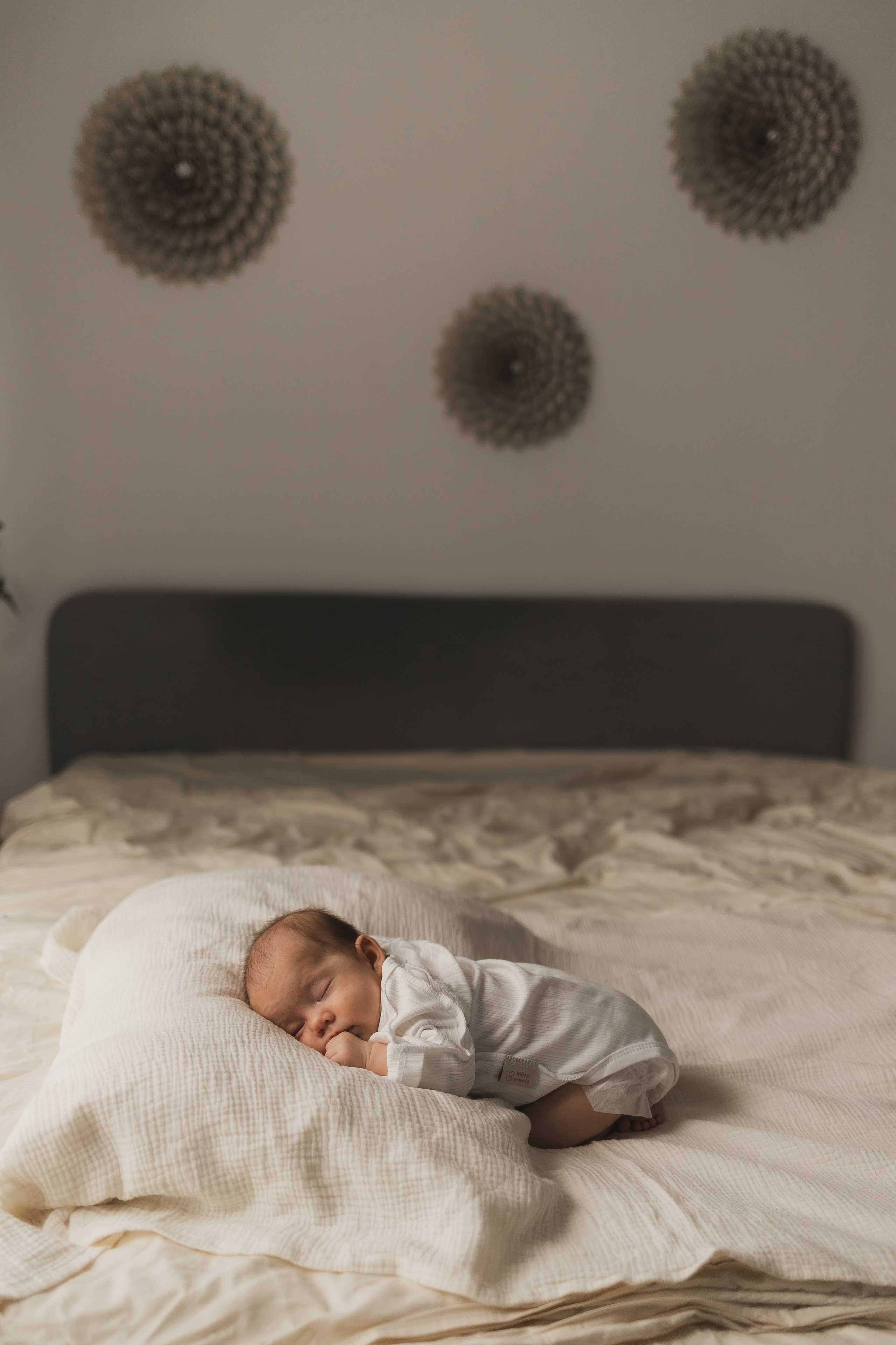 Семейный фотограф в Москве Елена Дудкина