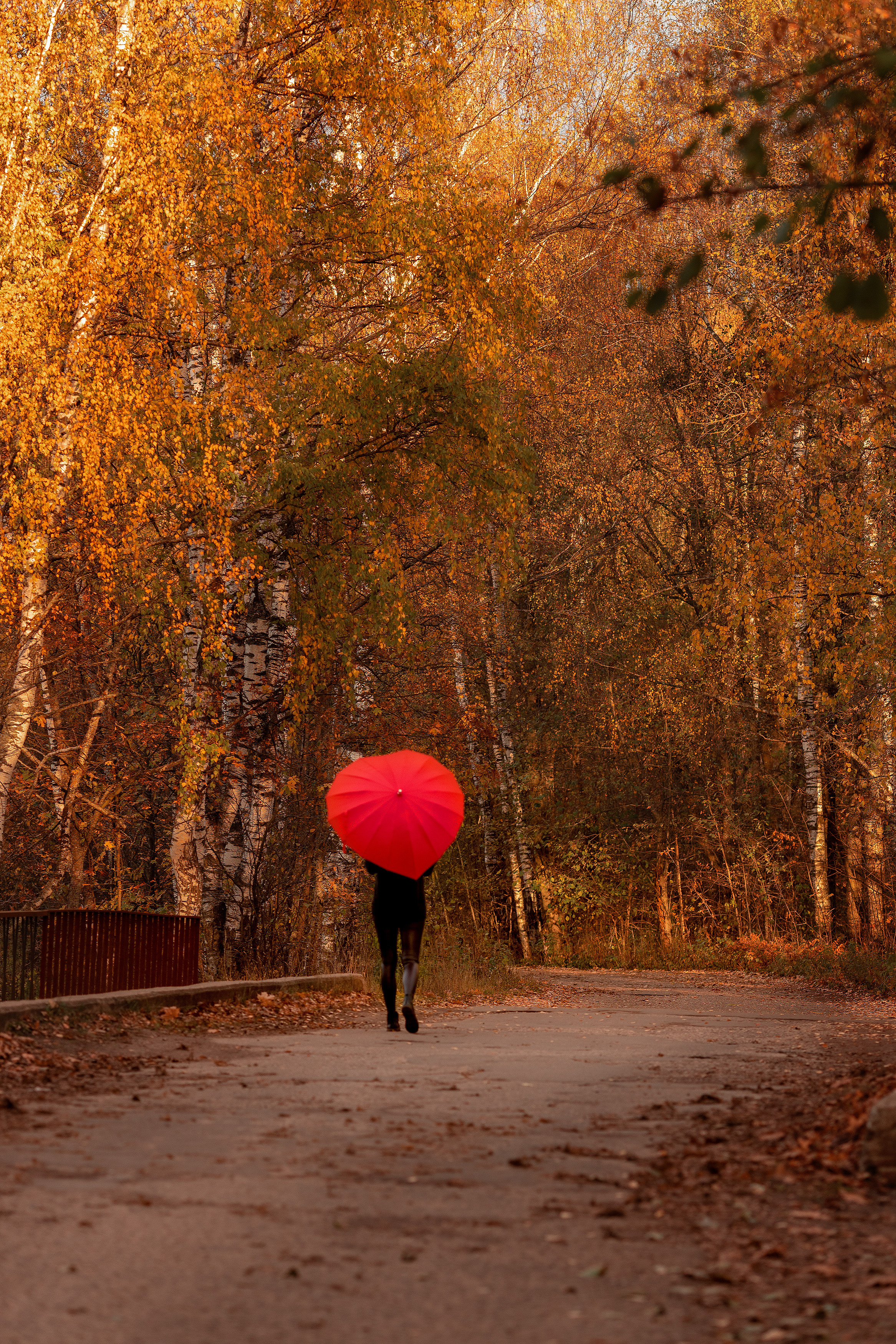 Семейная осенняя фотосессия Дарьи. Свадебный и семейный фотограф в Москве и МО Елена Агапова
