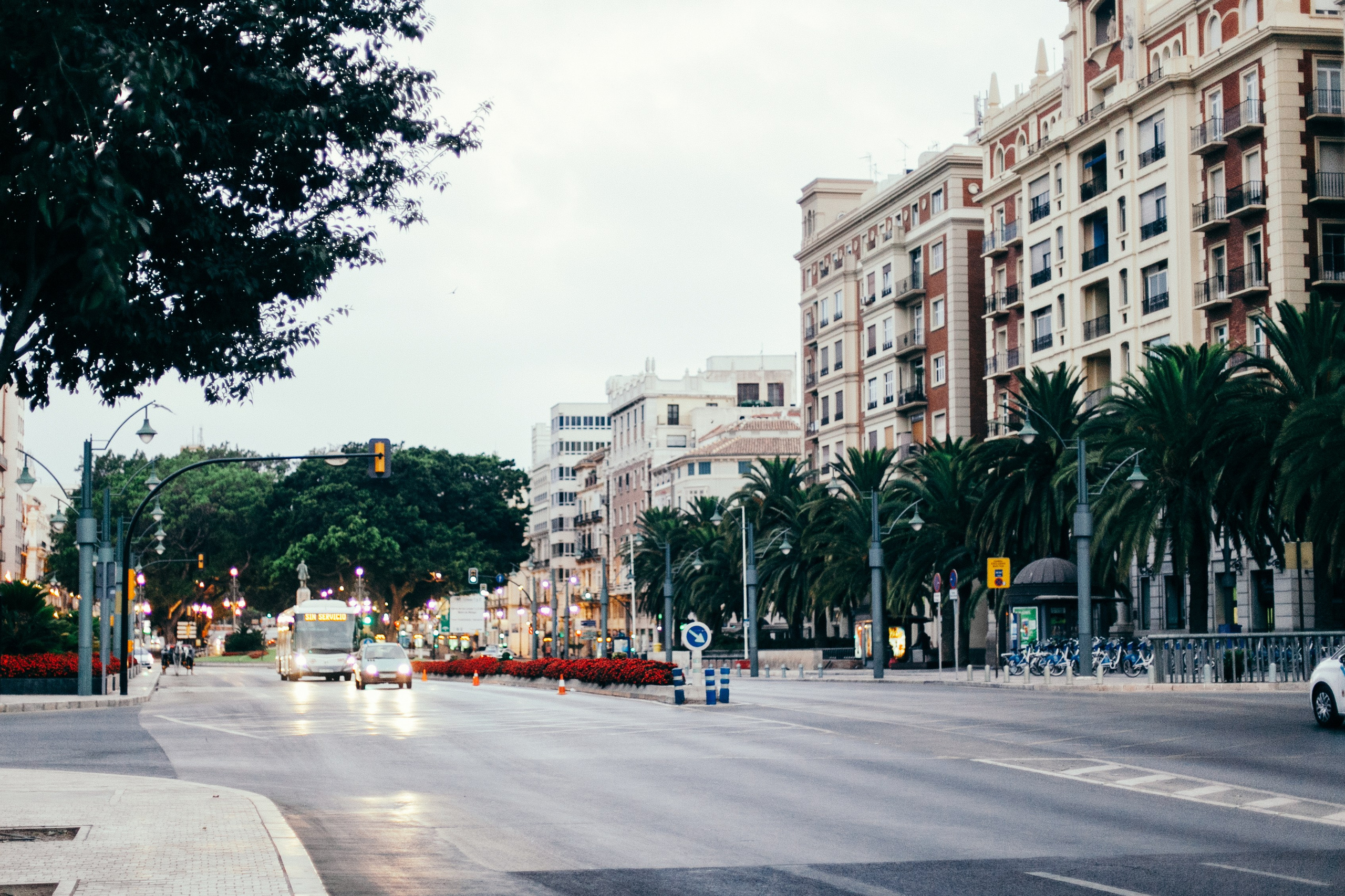 Малага. Аня Степанова