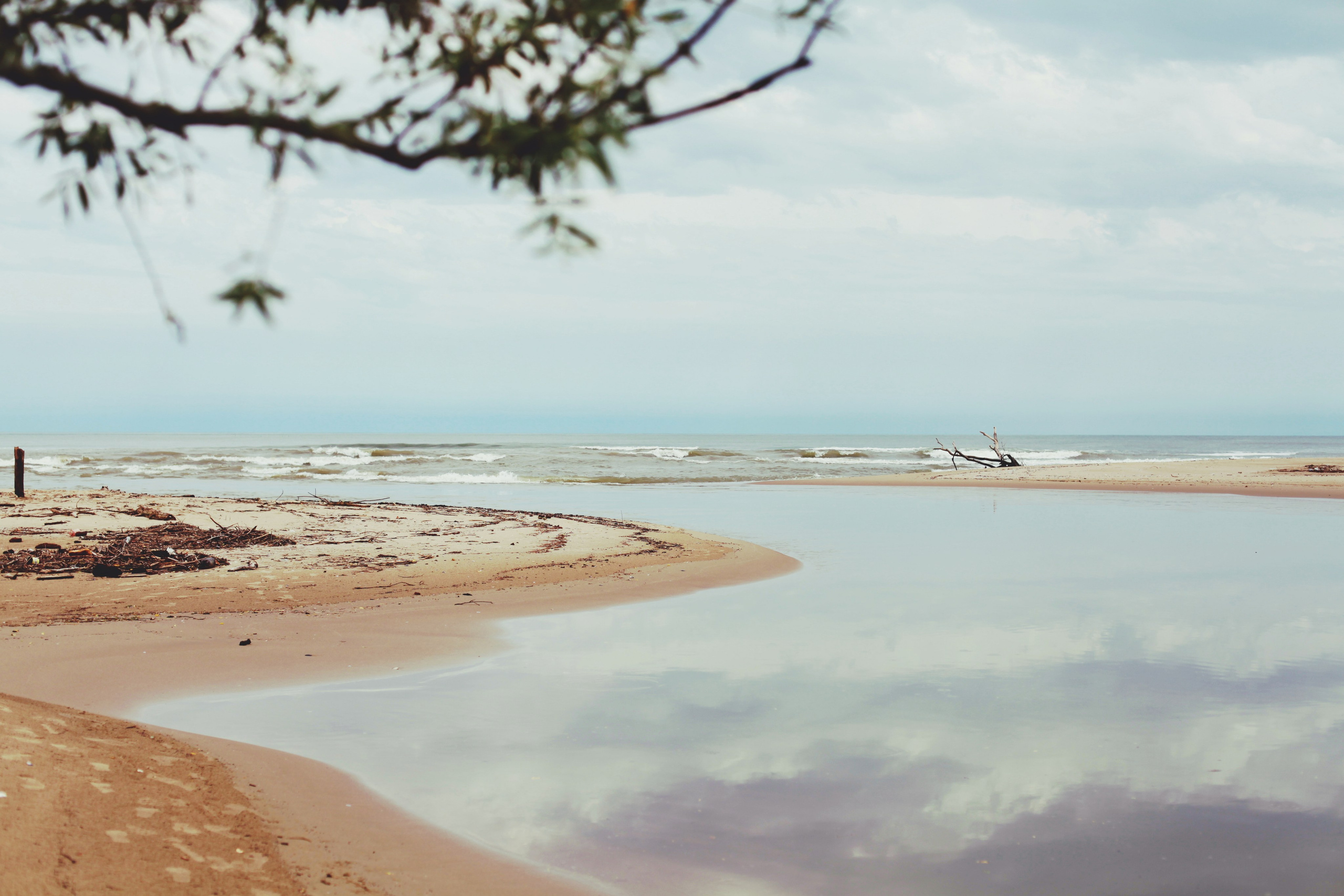 Болгария. Аня Степанова