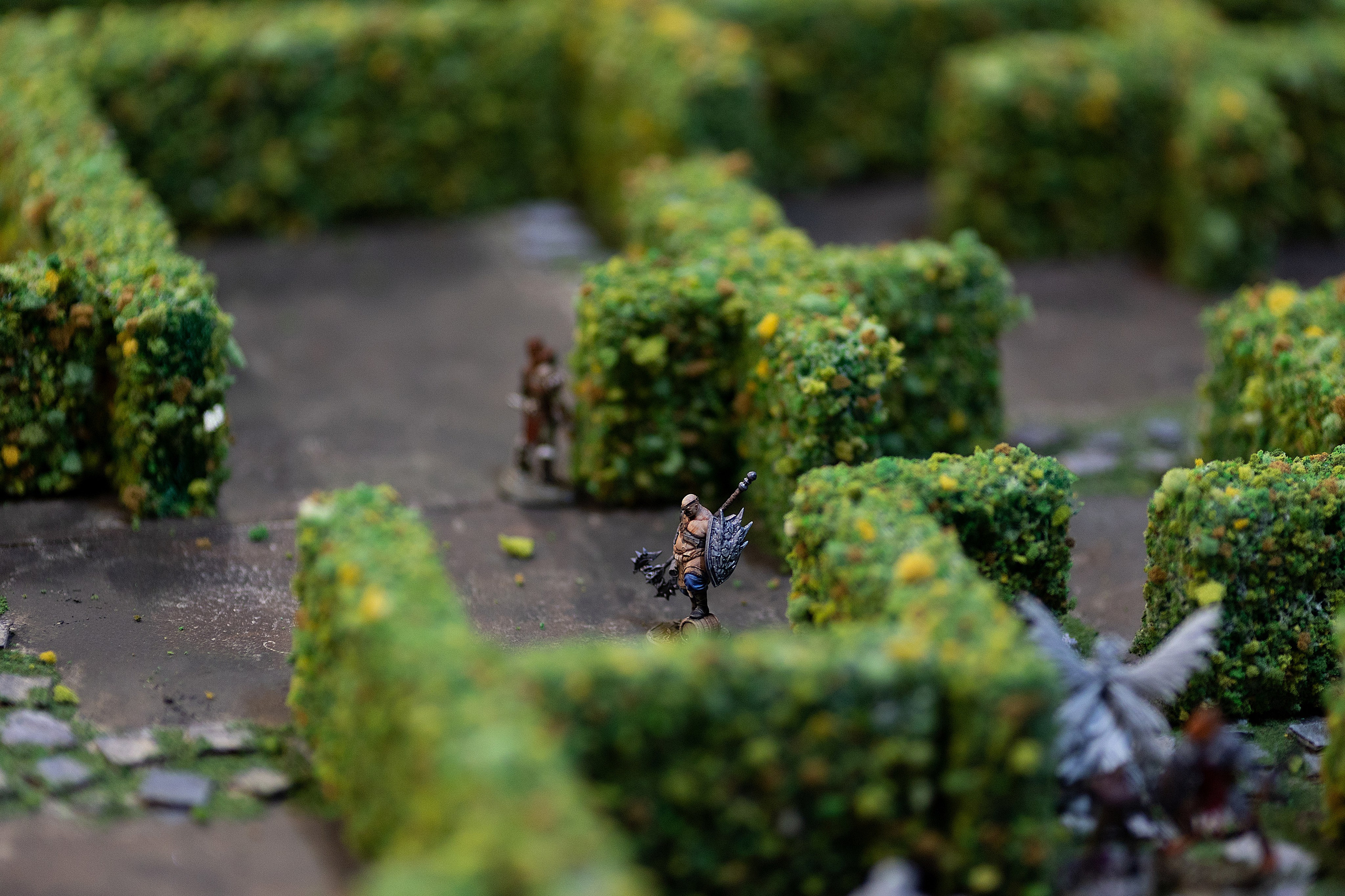 SnowDice | Санкт-Петербург, 2025. Репортажный фотограф