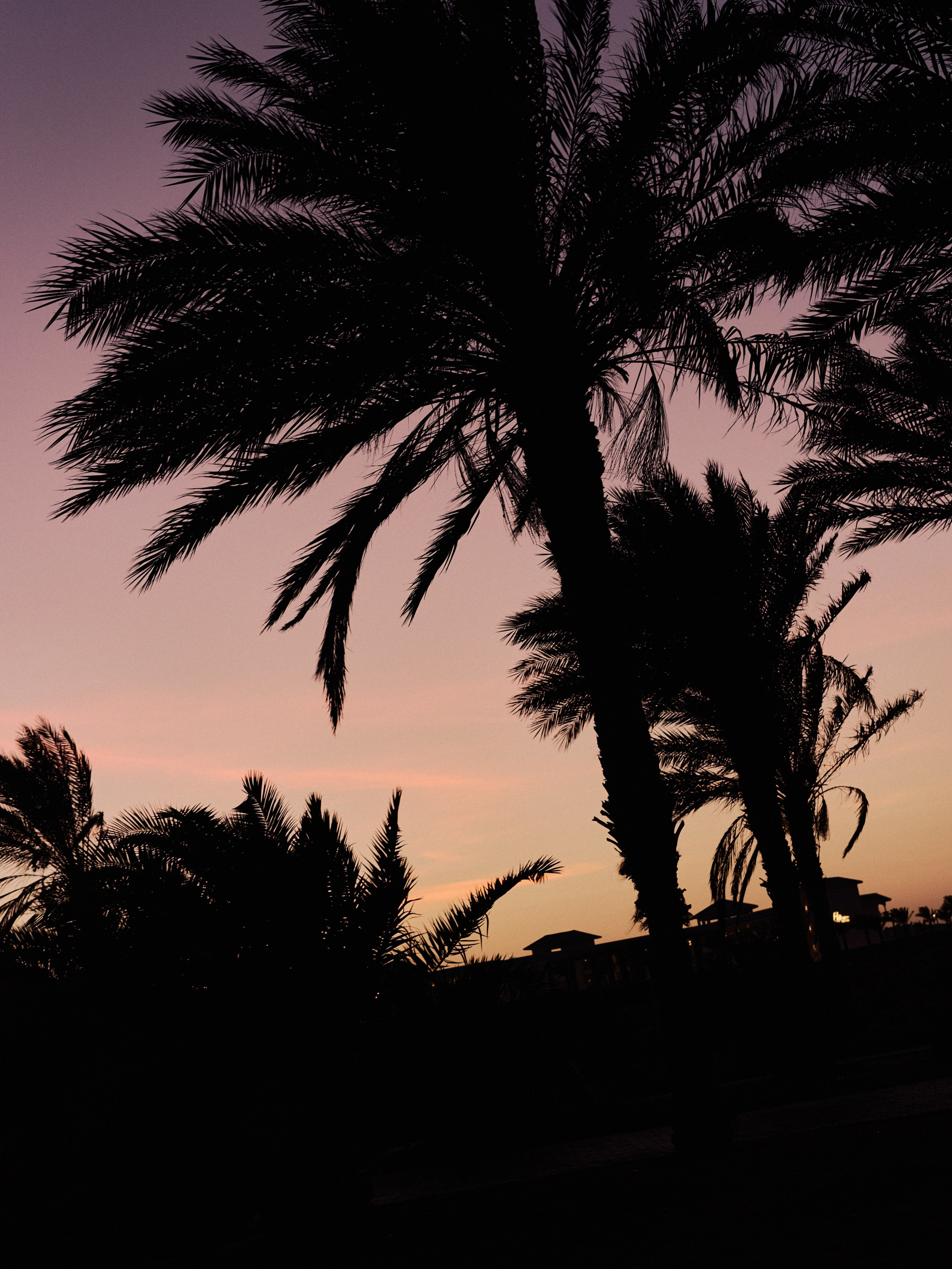 Другое 3. Jorgis Talè — photographer, kind person, teacher of arts and other mag