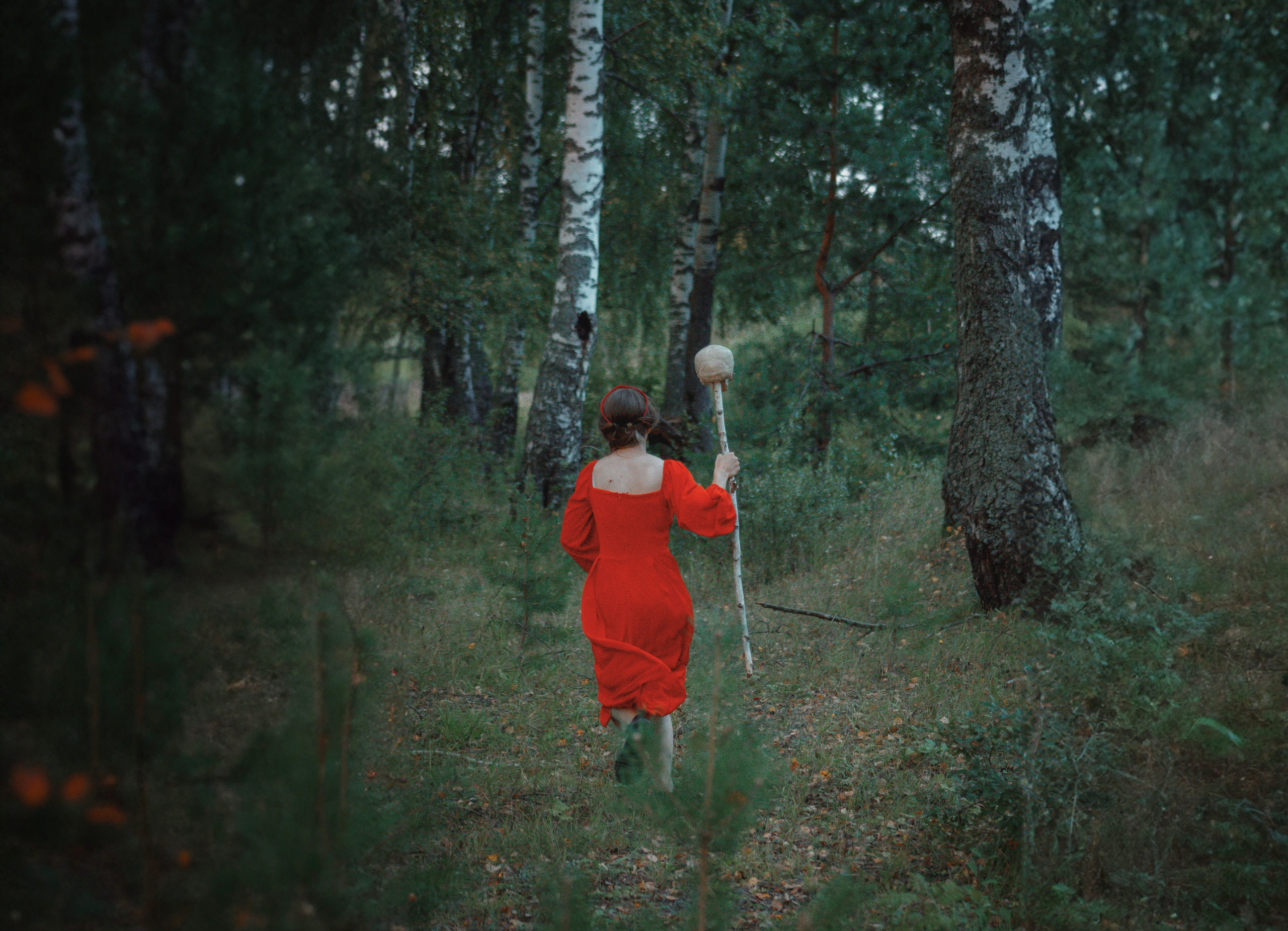 Василиса. Семейный и детский фотограф Настасья Боровкова