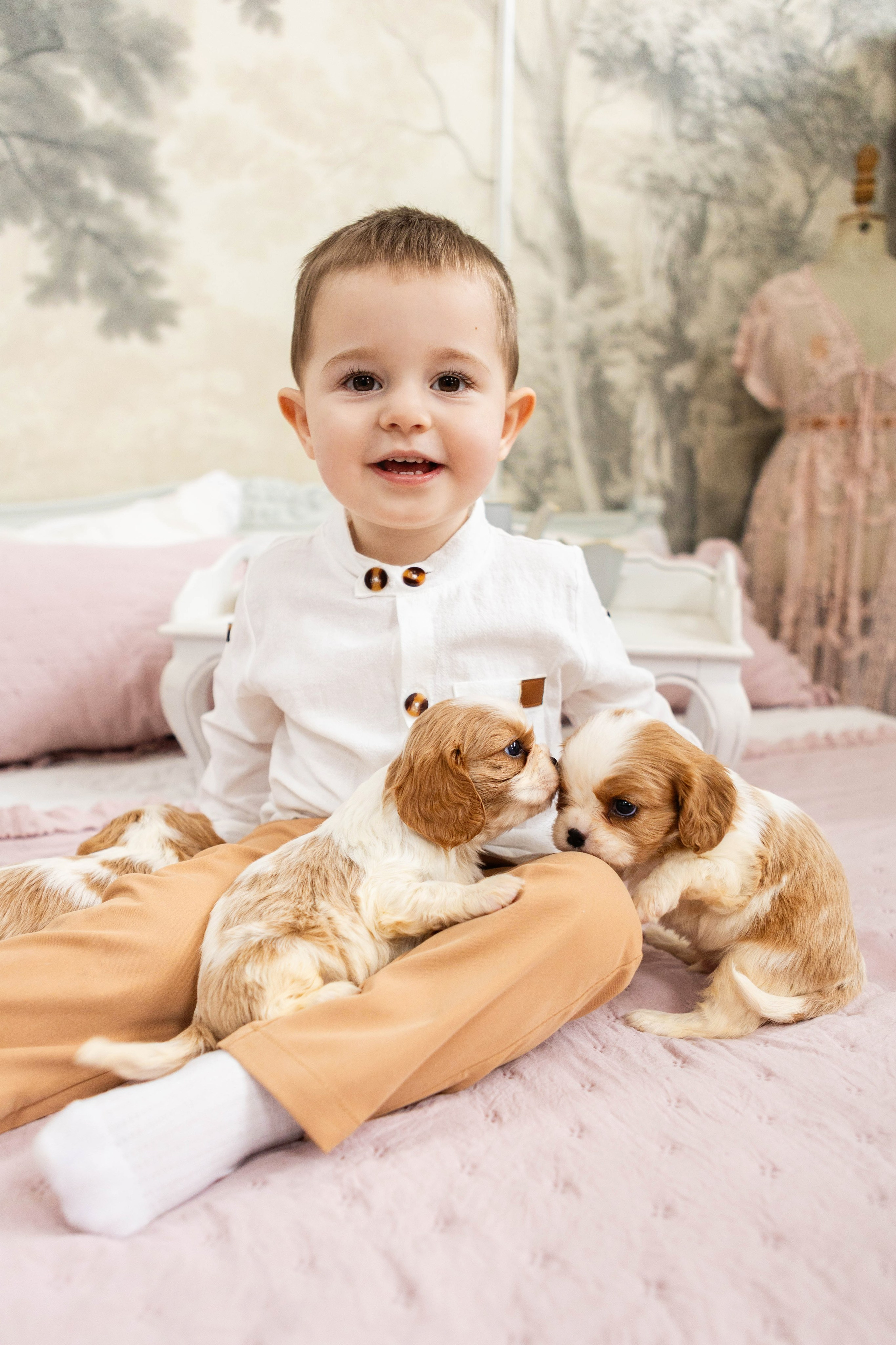 Фотосессия со щенками кавалер кинг чарльз спаниэль. Свадебный семейный и детский фотограф в Краснодаре Карина Федоровская