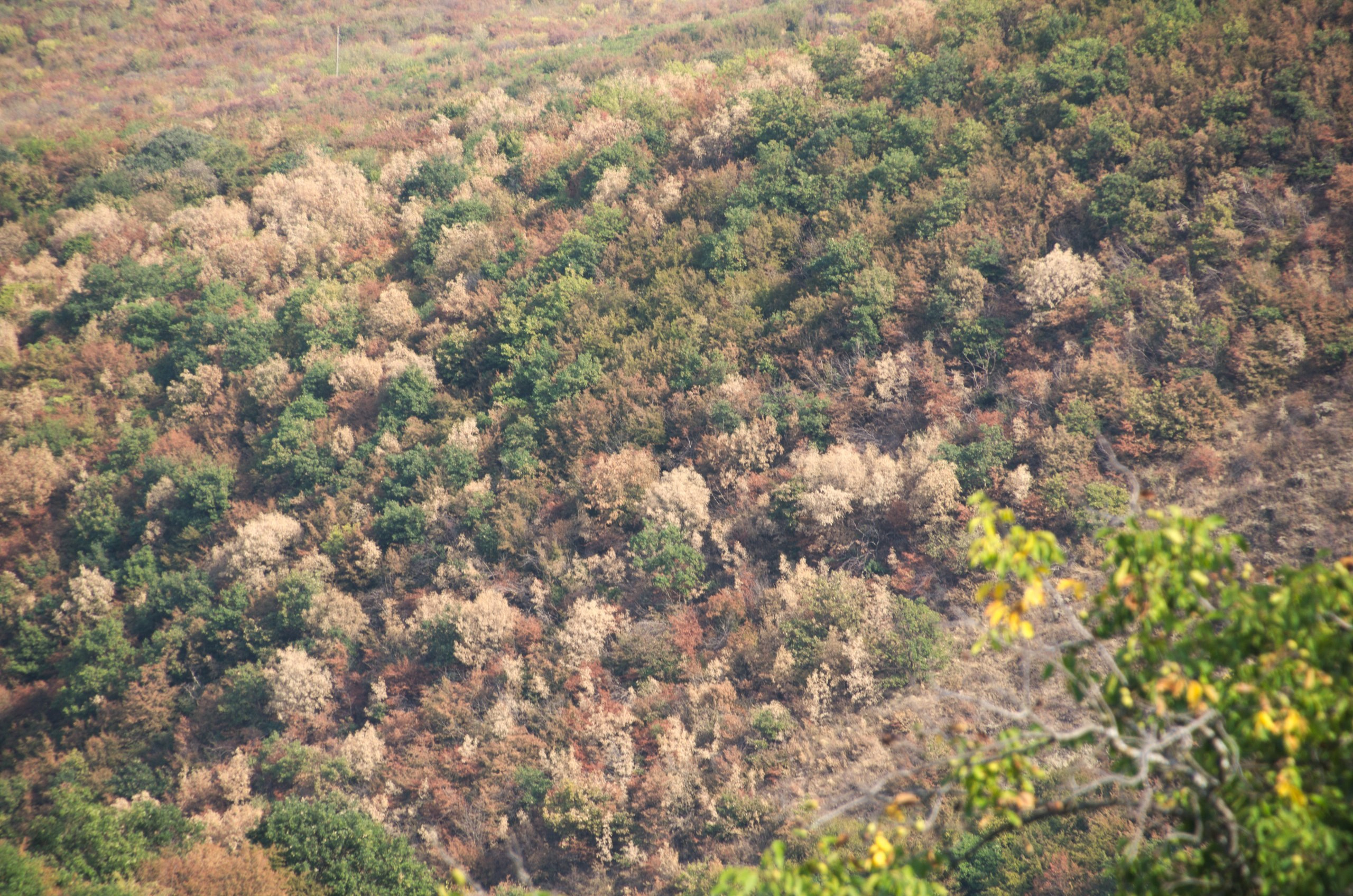 Грузия | 22-25.09.2017. Галерея Фантим