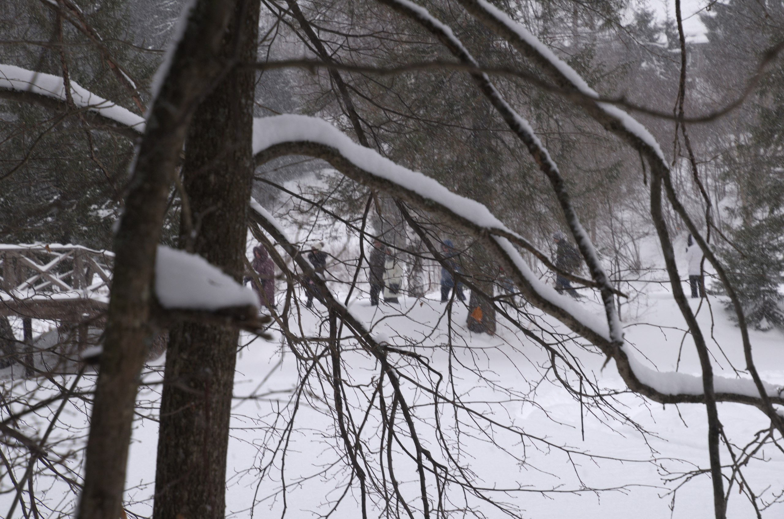 Сергиев Посад | 11.12.2016. Галерея Фантим