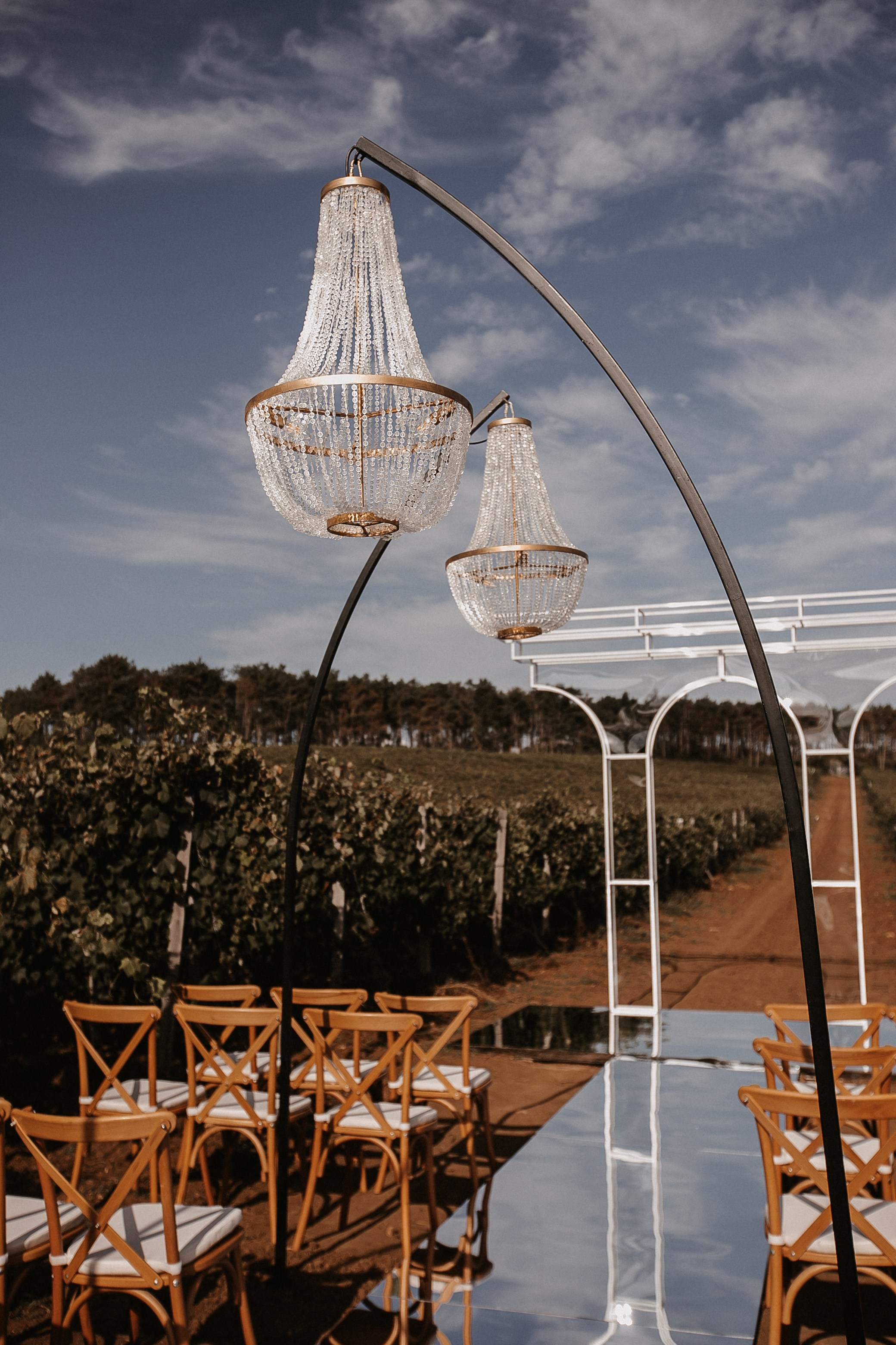 Wedding on winery. Свадебный фотограф в Севастополе и Крыму| Tanya Sher