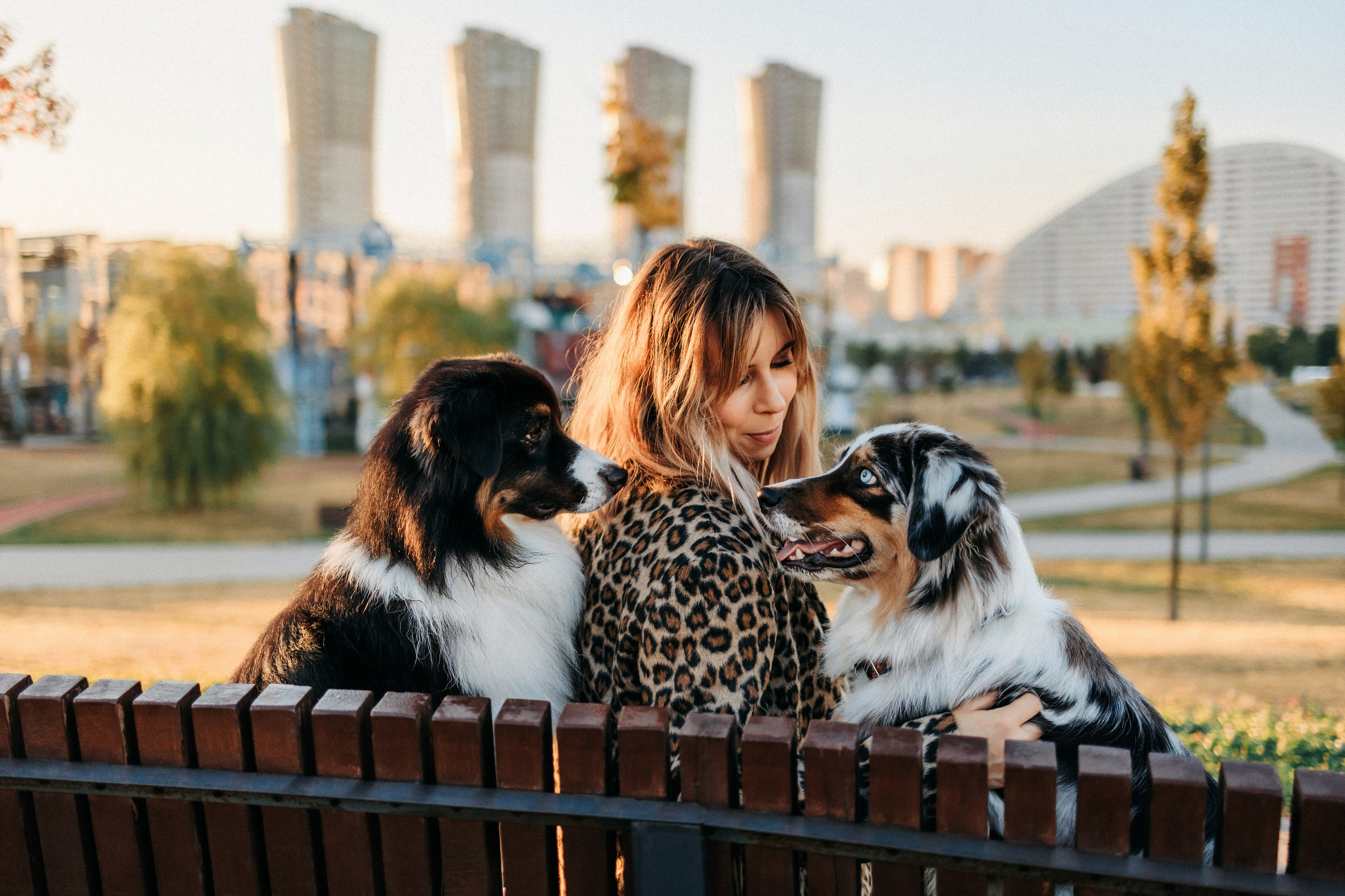 Аня, Чарли и Ева. Фотограф-анималист Елена Радченко, Москва