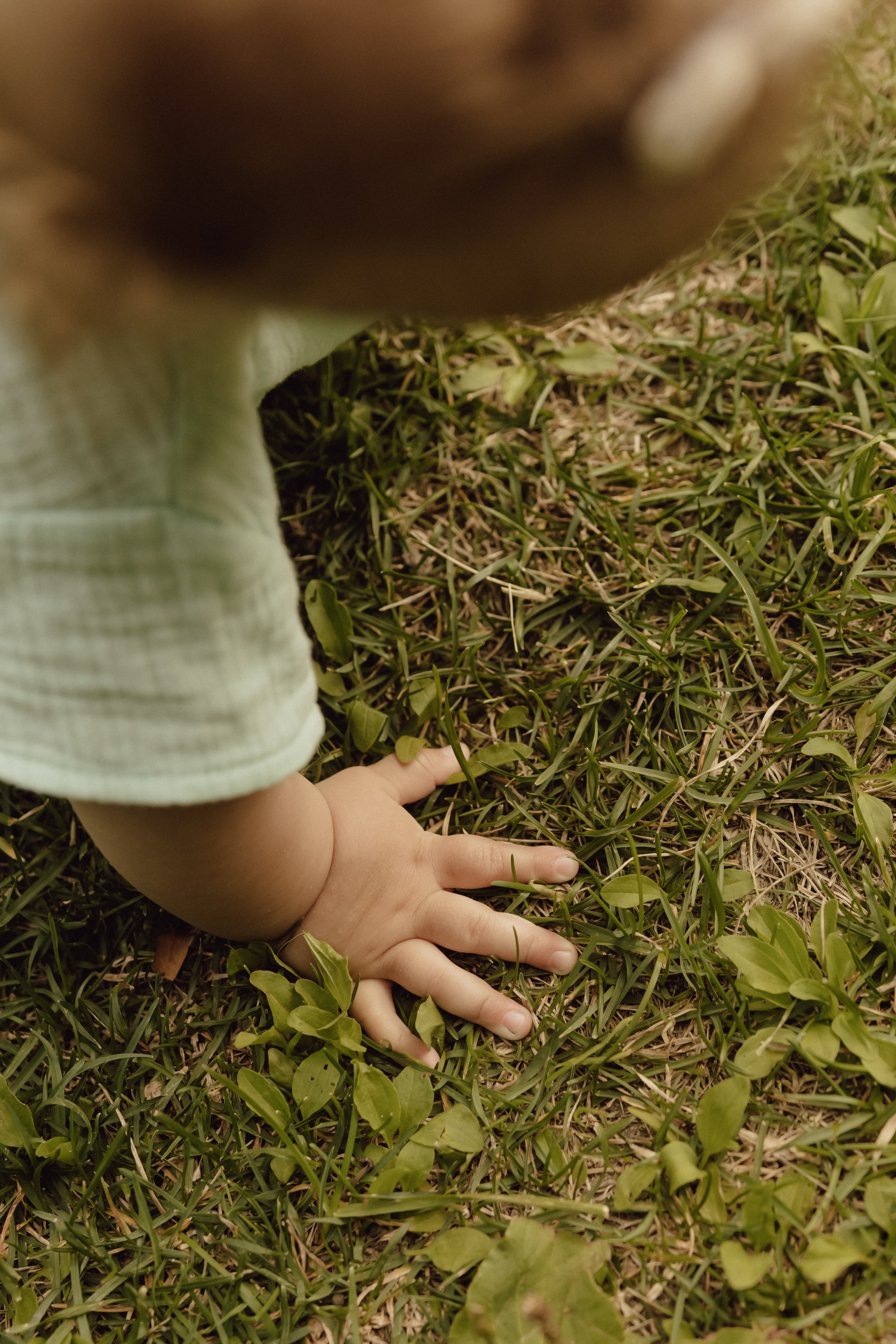 Семья Редькиных в парке Швейцария. Фотограф в Кирове и Кирово-Чепецке Валерия Шиляева