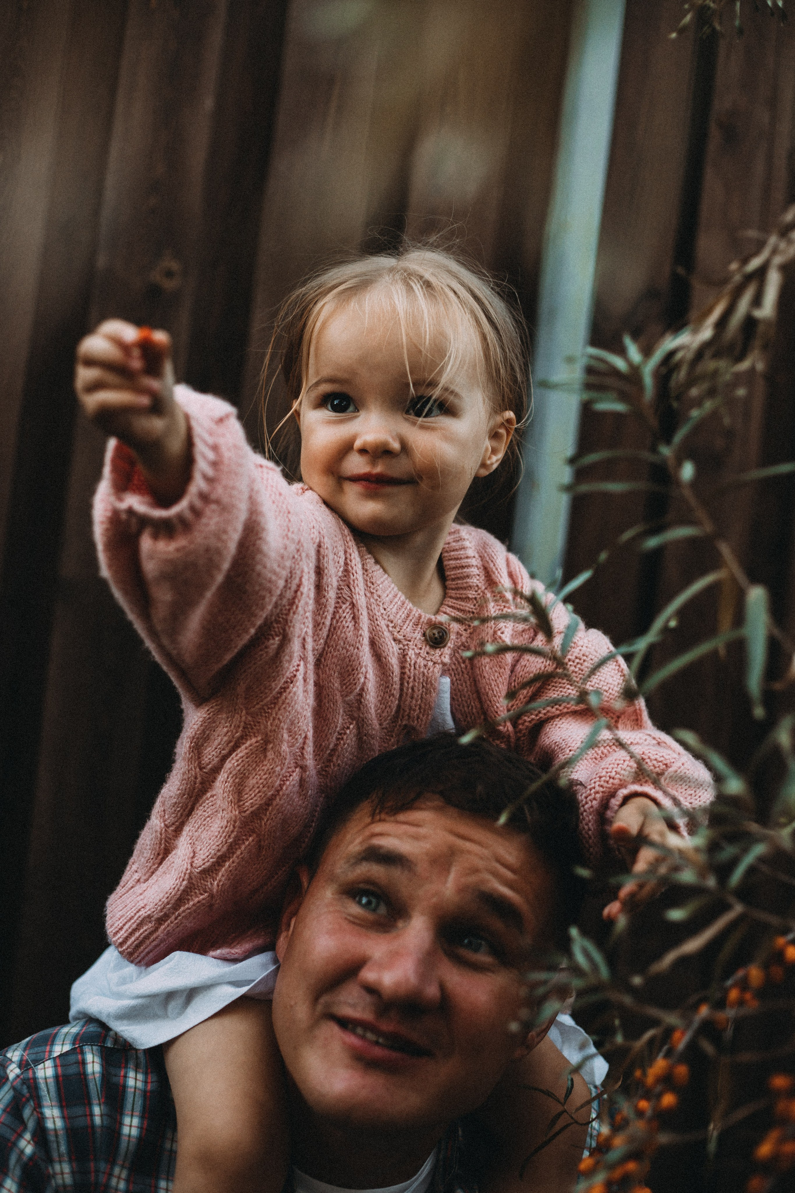 Дача. Главная