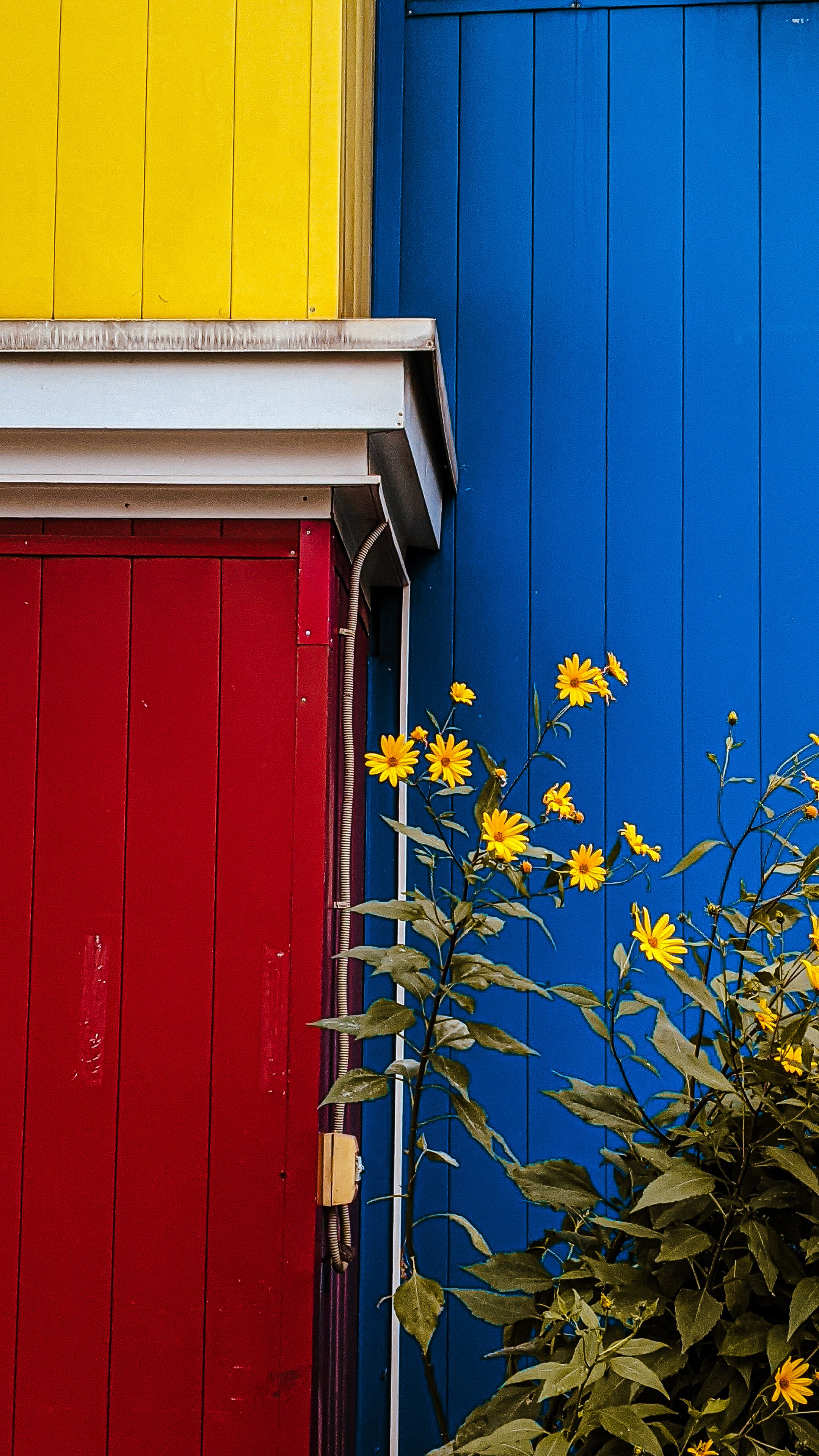 Мобильная фотография. Интерьерный и портретный фотограф в Москве Анна Моногарова