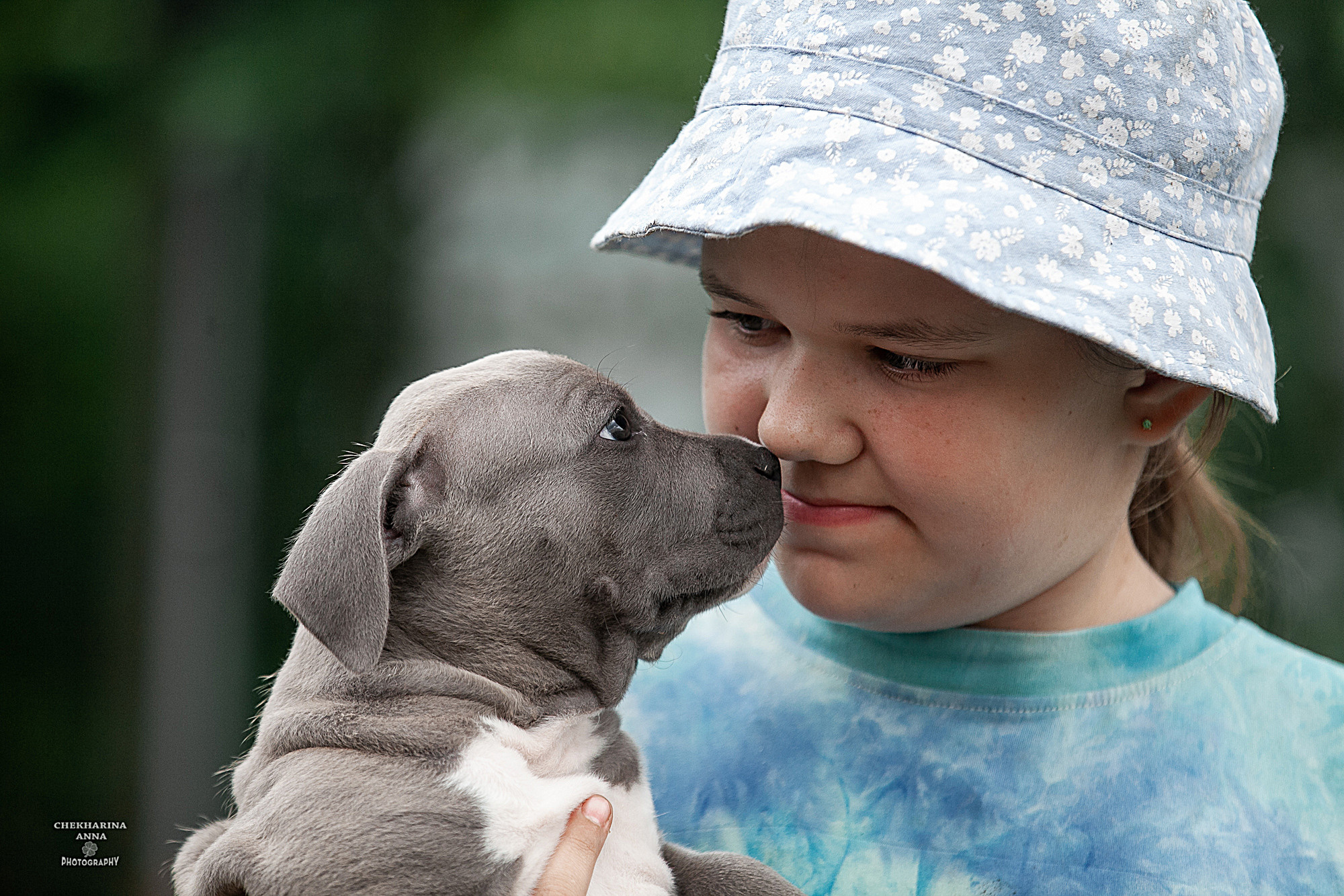 Анималистика. Профессиональный фотограф Чехарина Анна / pro photographer Chekharina