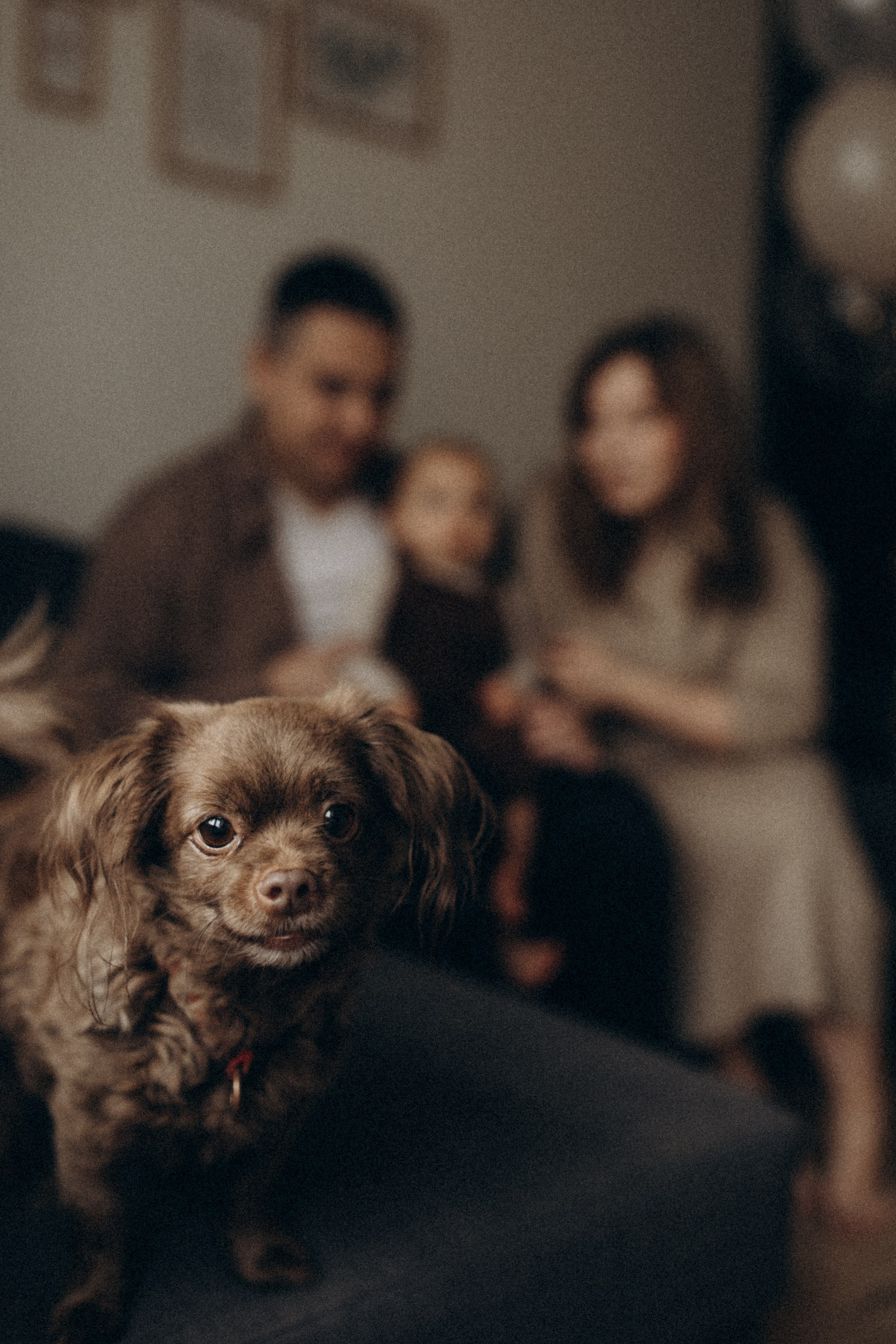 Годовасие Мишеньки. Семейный фотограф в Москве и Люберцах Юлия Гуськова