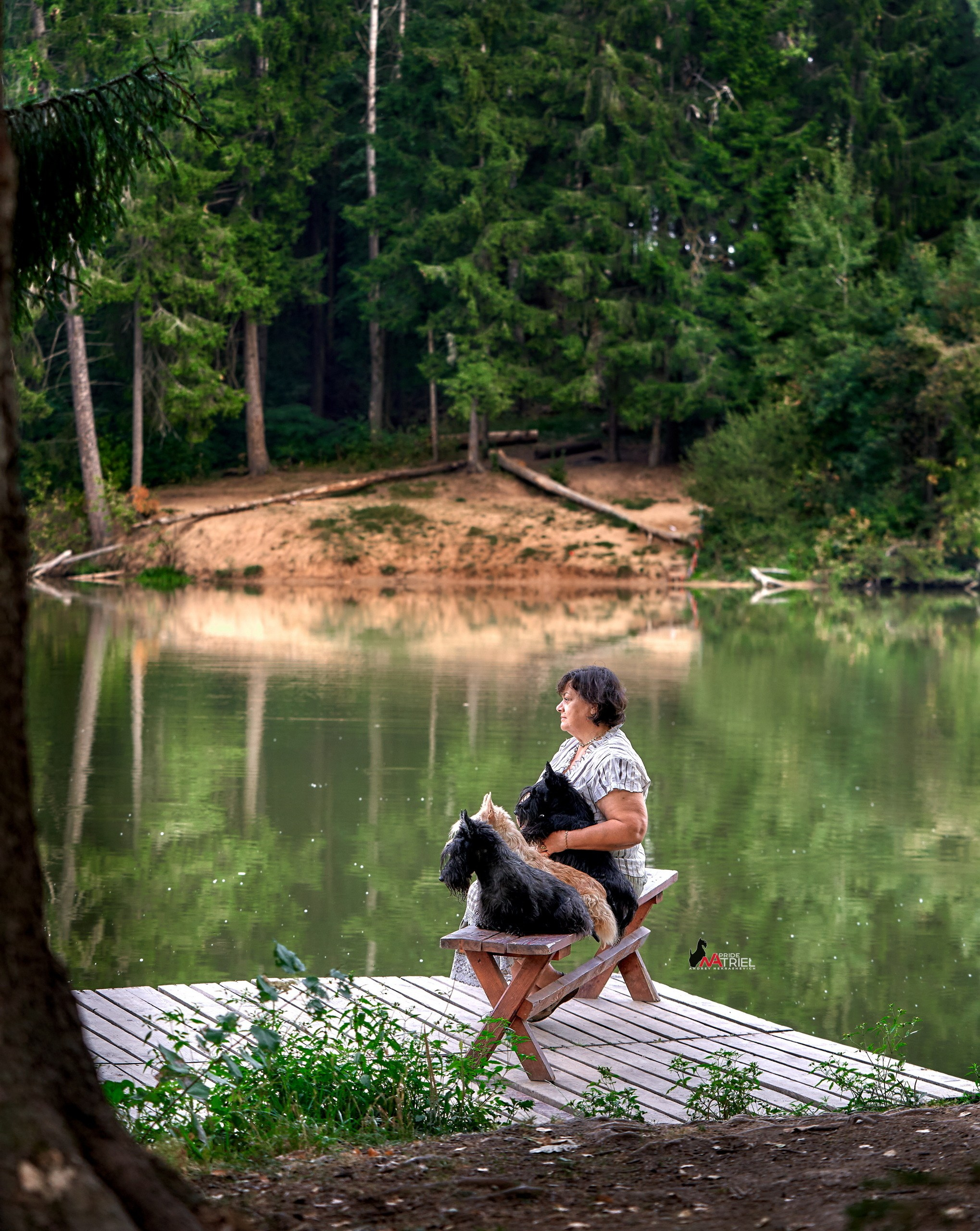 Собаки и Люди — галерея NATRIEL
