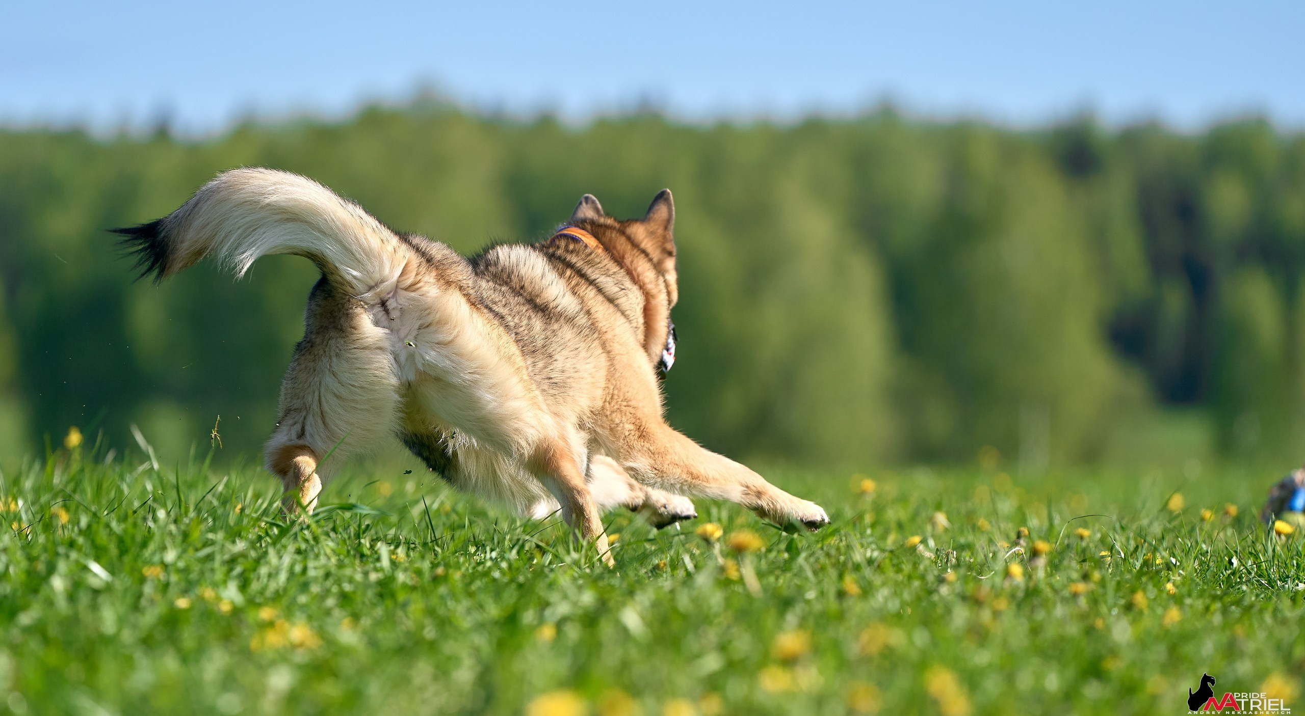 Съемка курсинг — галерея NATRIEL
