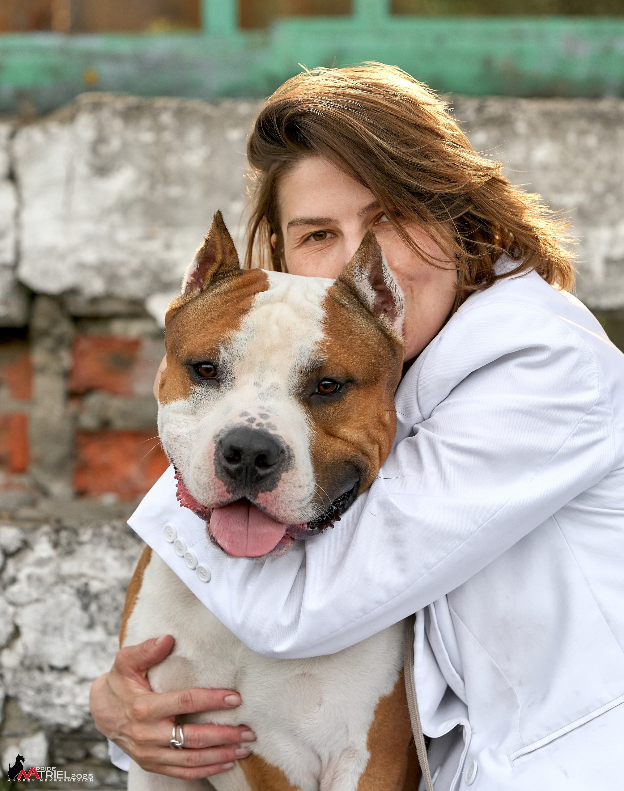 Выставка собак Суздаль-Владимир